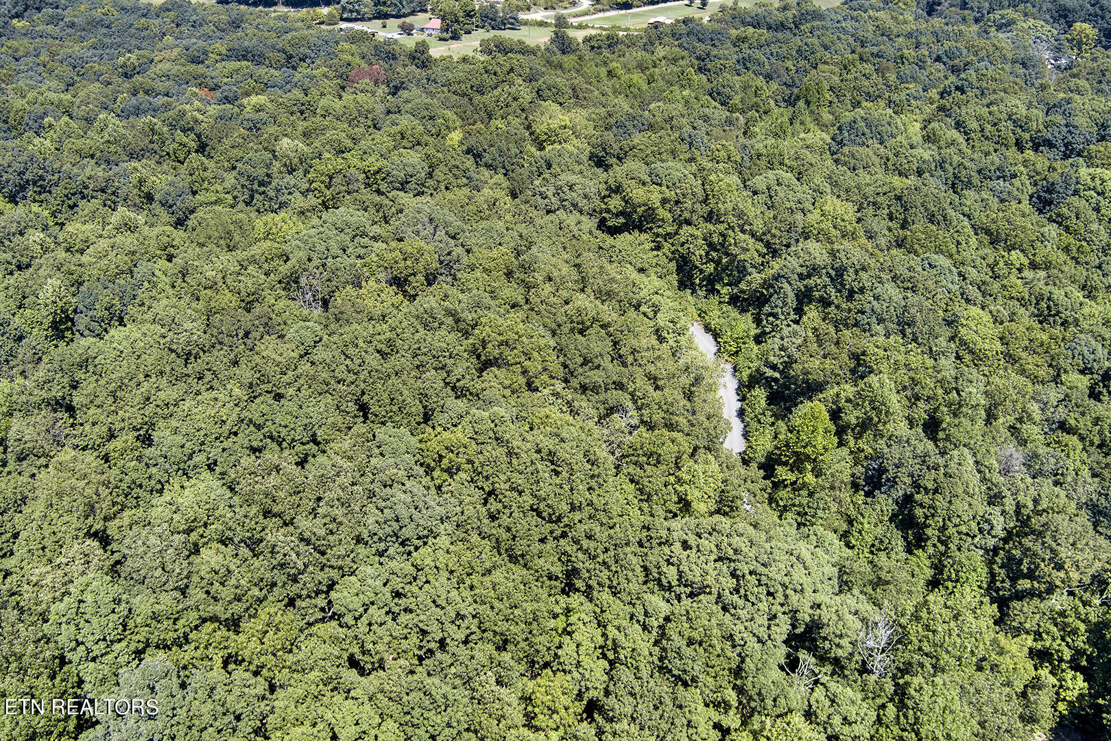 Lot 165 County Road 316 Property Photo 5