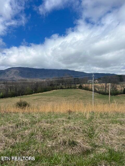 Lot 3 Bogard Rd Property Photo 2
