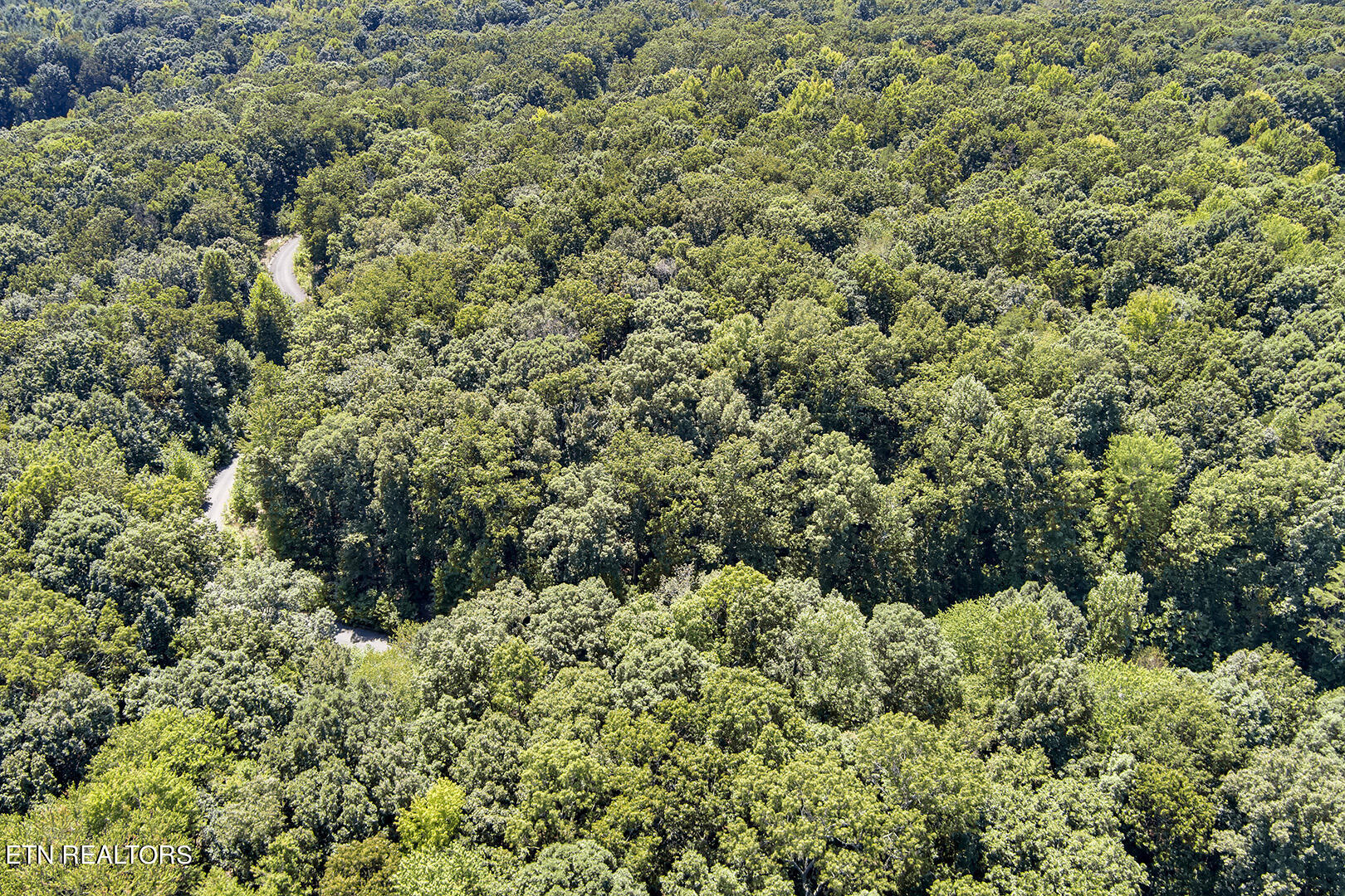 Lot 166 County Road 316 Property Photo