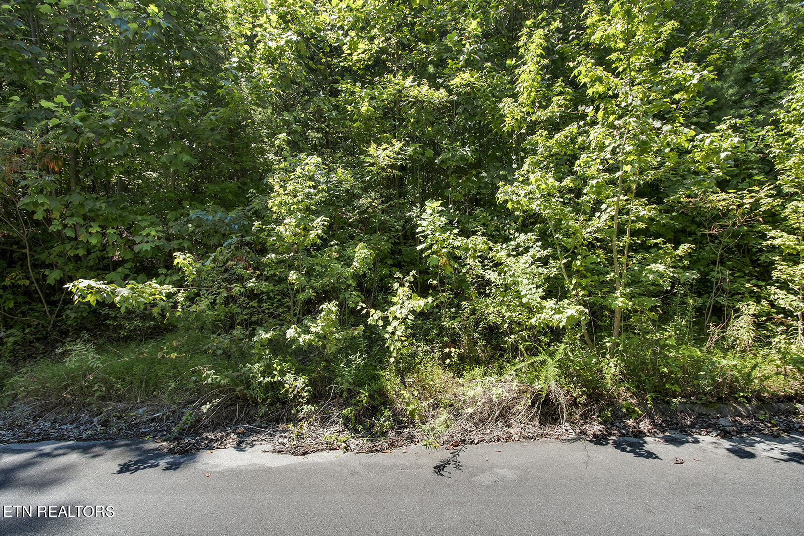 Lot 166 County Road 316 Property Photo 2