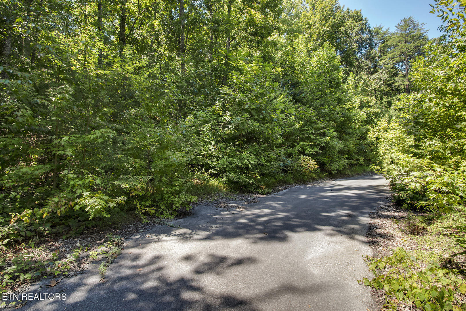 Lot 166 County Road 316 Property Photo 3