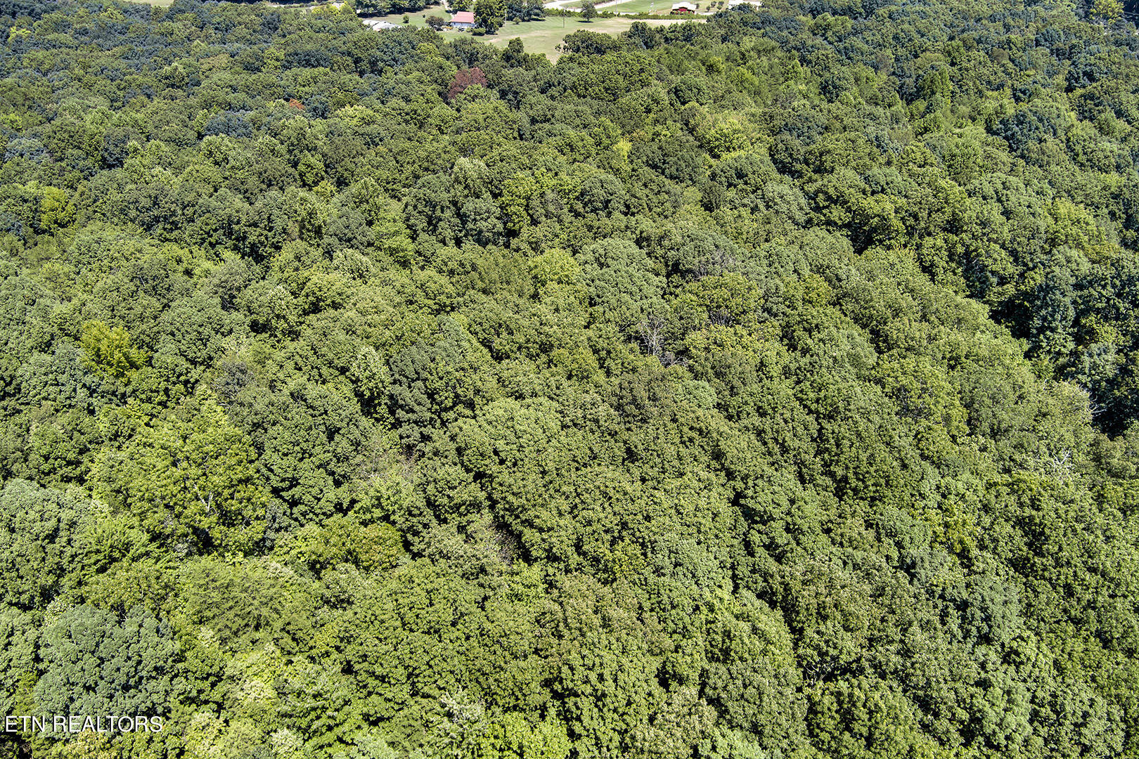 Lot 166 County Road 316 Property Photo 4