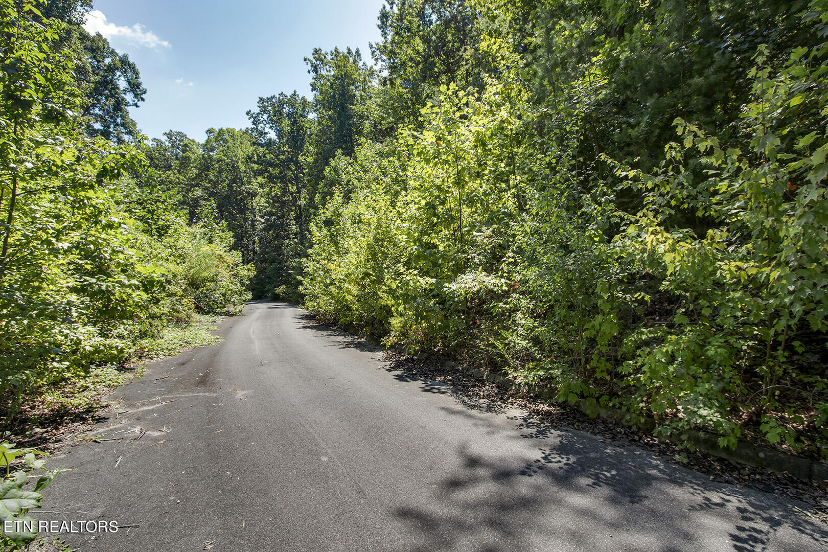 Lot 166 County Road 316 Property Photo 6