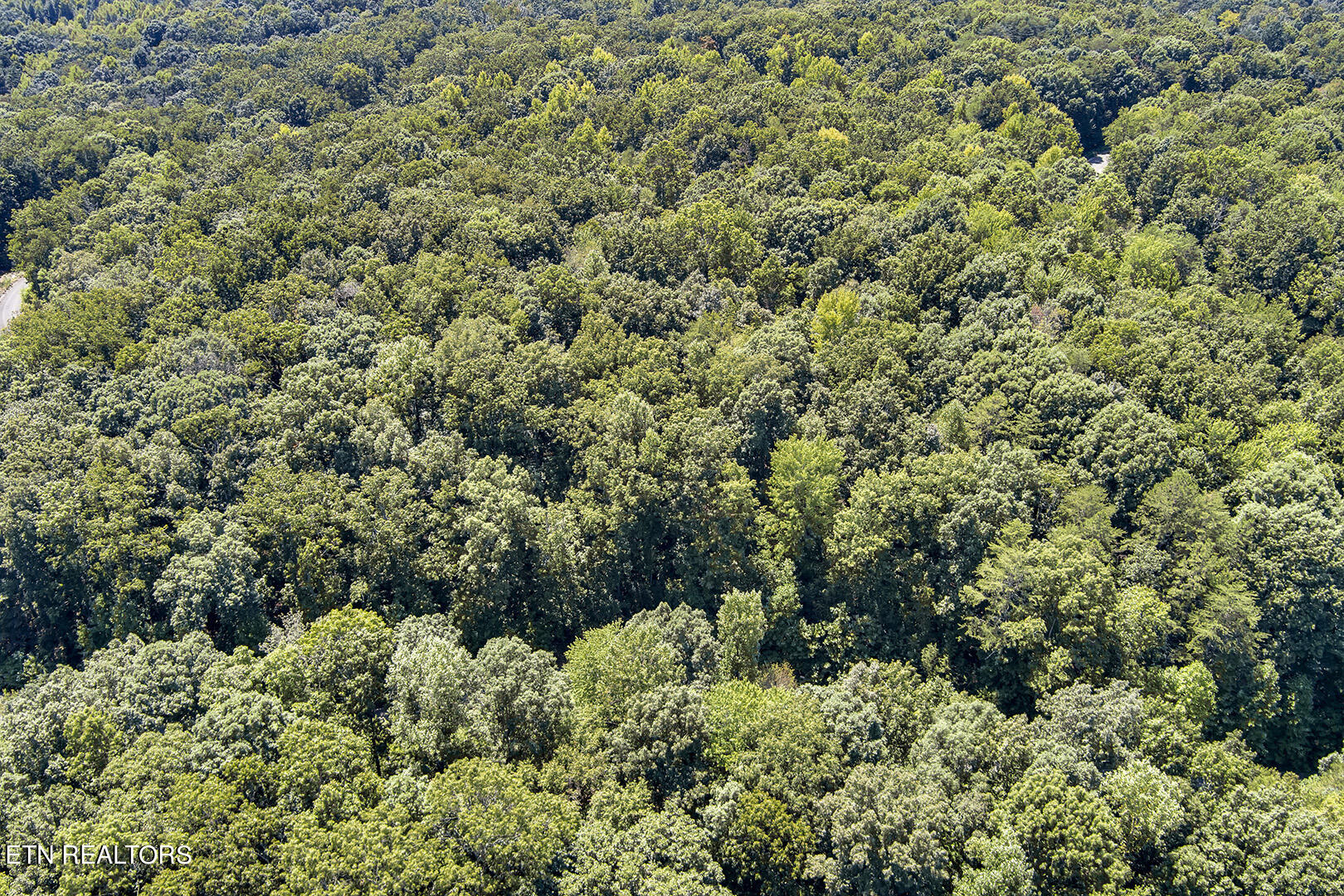 Lot 167 County Road 316 Property Photo
