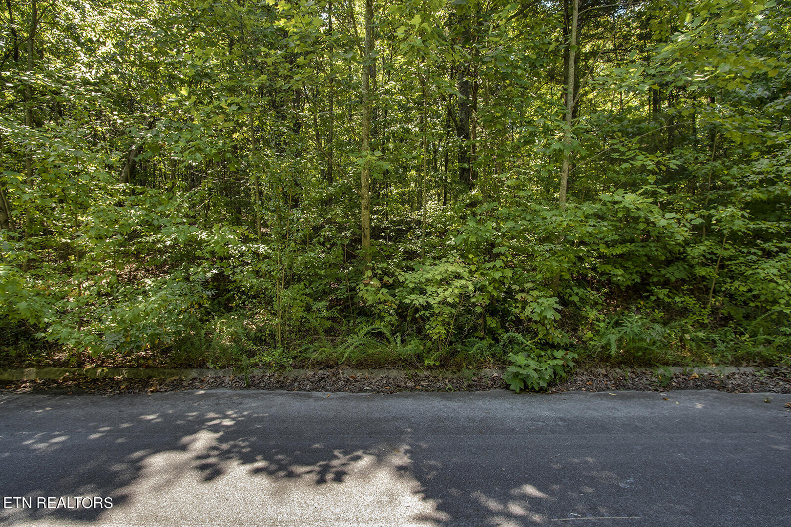 Lot 167 County Road 316 Property Photo 2
