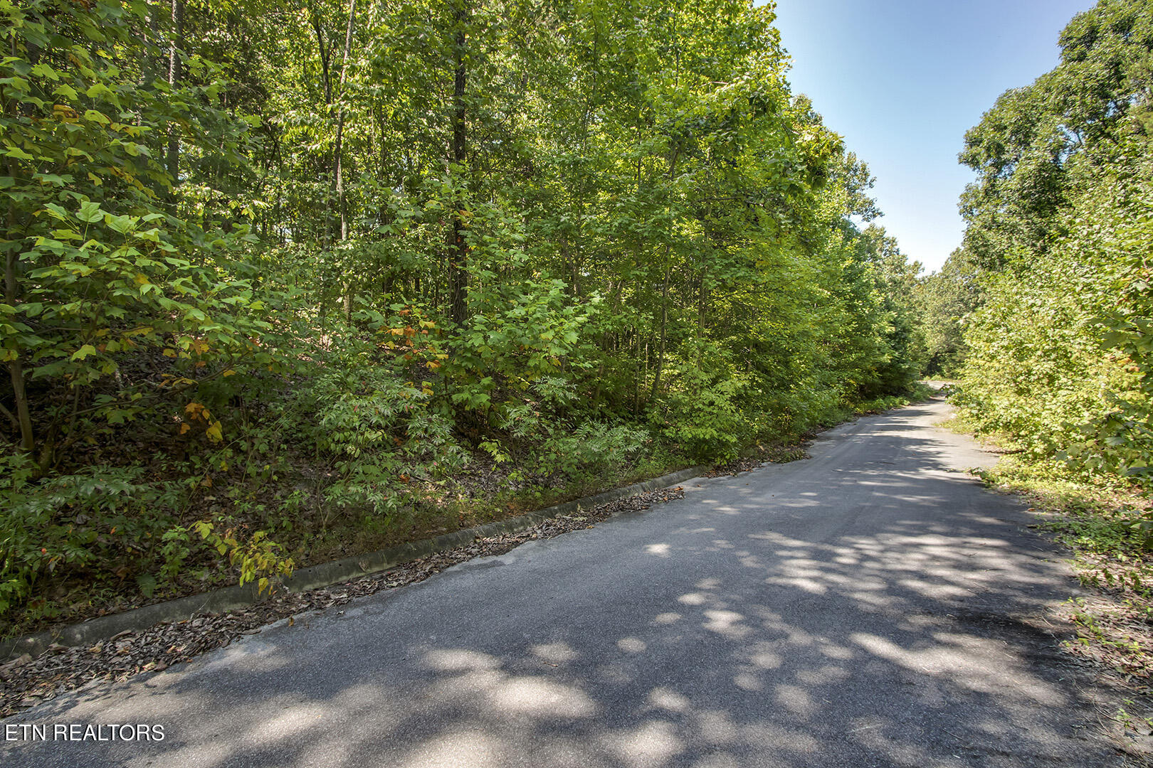 Lot 167 County Road 316 Property Photo 3
