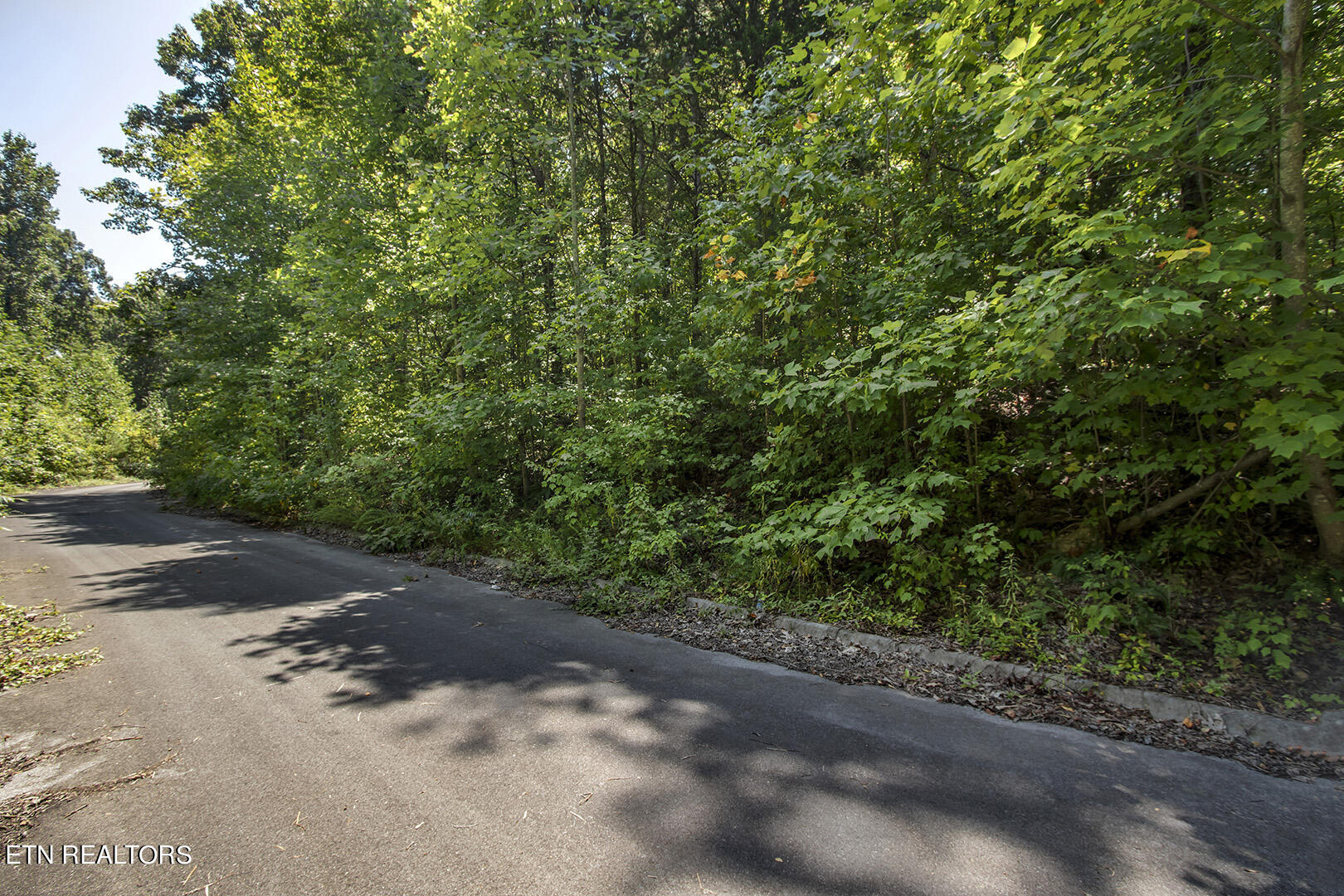 Lot 167 County Road 316 Property Photo 4
