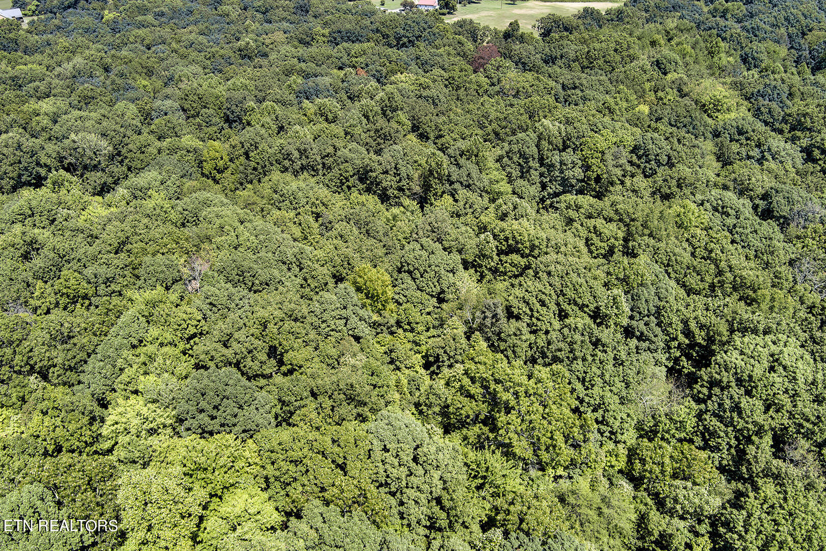Lot 167 County Road 316 Property Photo 5