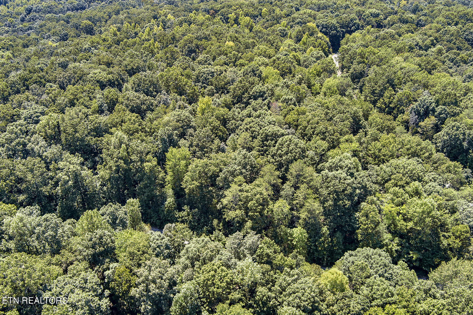 Lot 168 County Road 316 Property Photo