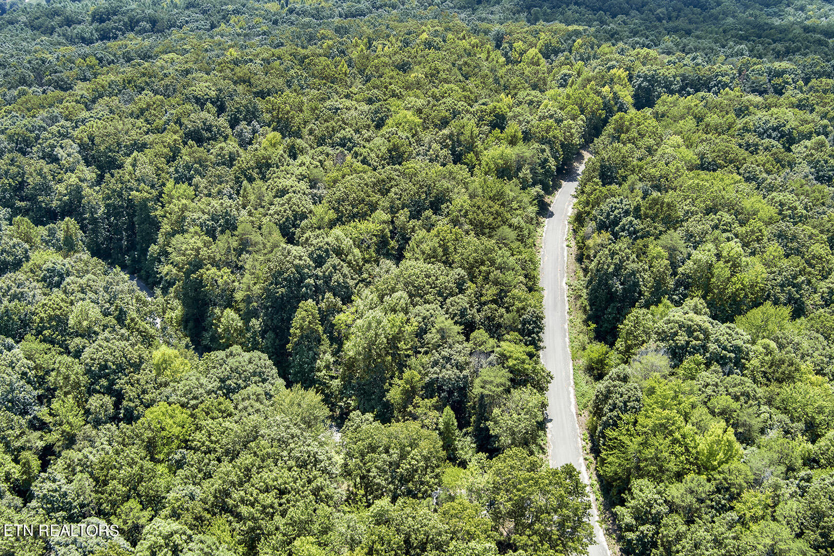 Lot 169 County Road 316 Property Photo