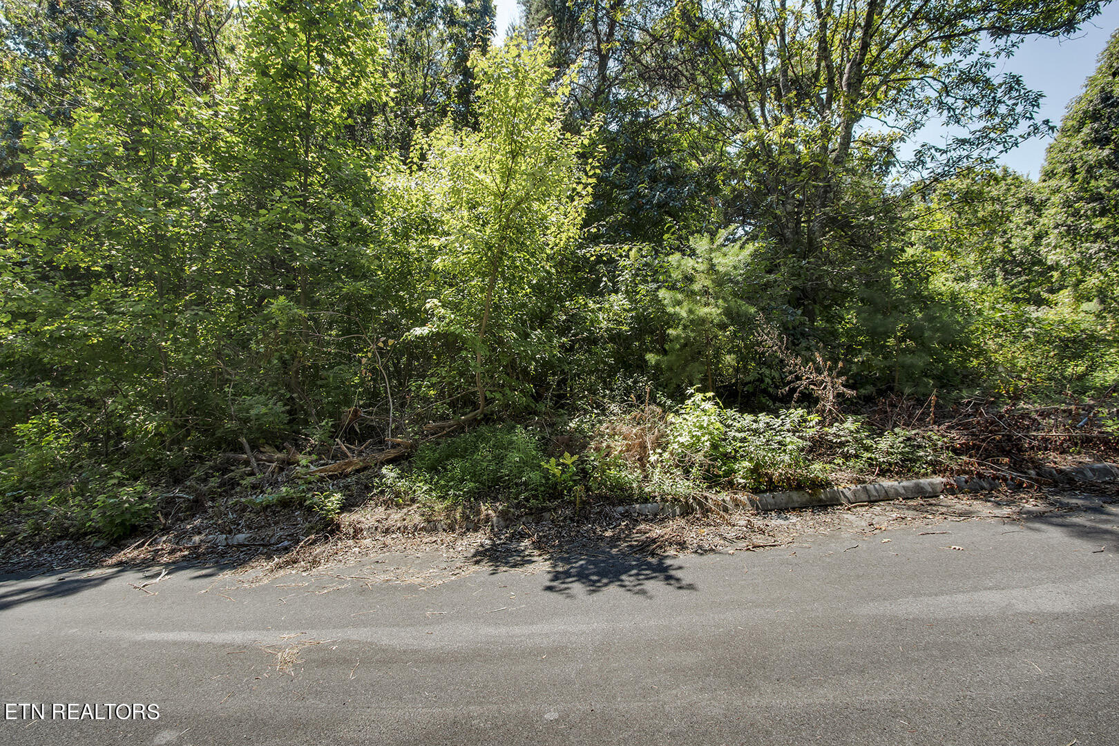 Lot 169 County Road 316 Property Photo 2