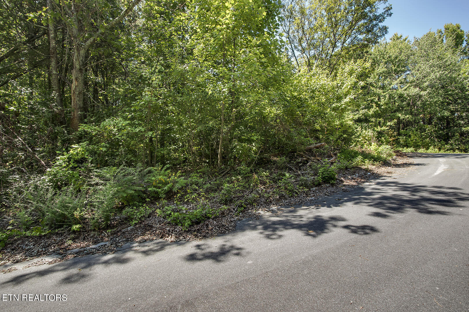 Lot 169 County Road 316 Property Photo 3