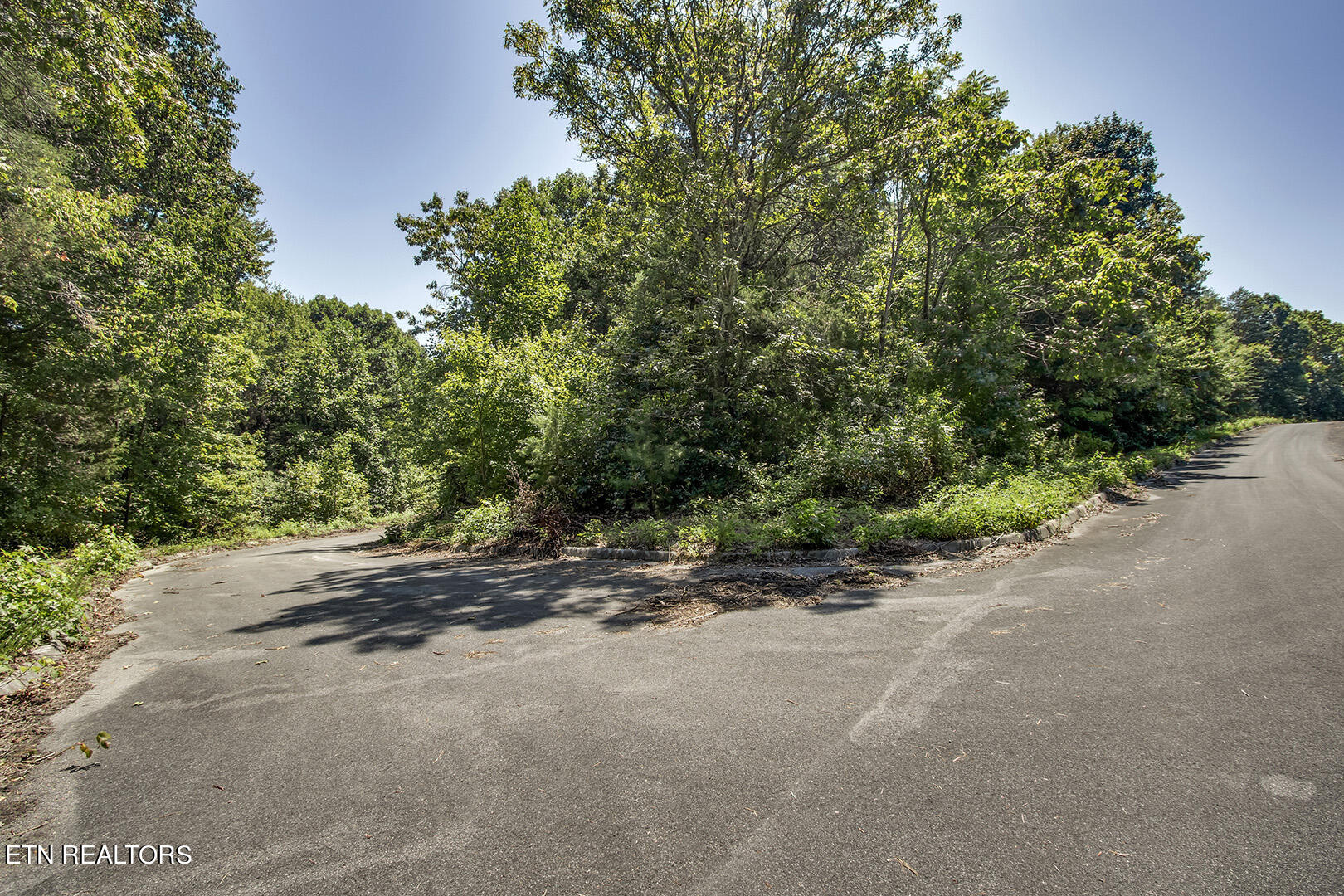 Lot 169 County Road 316 Property Photo 4