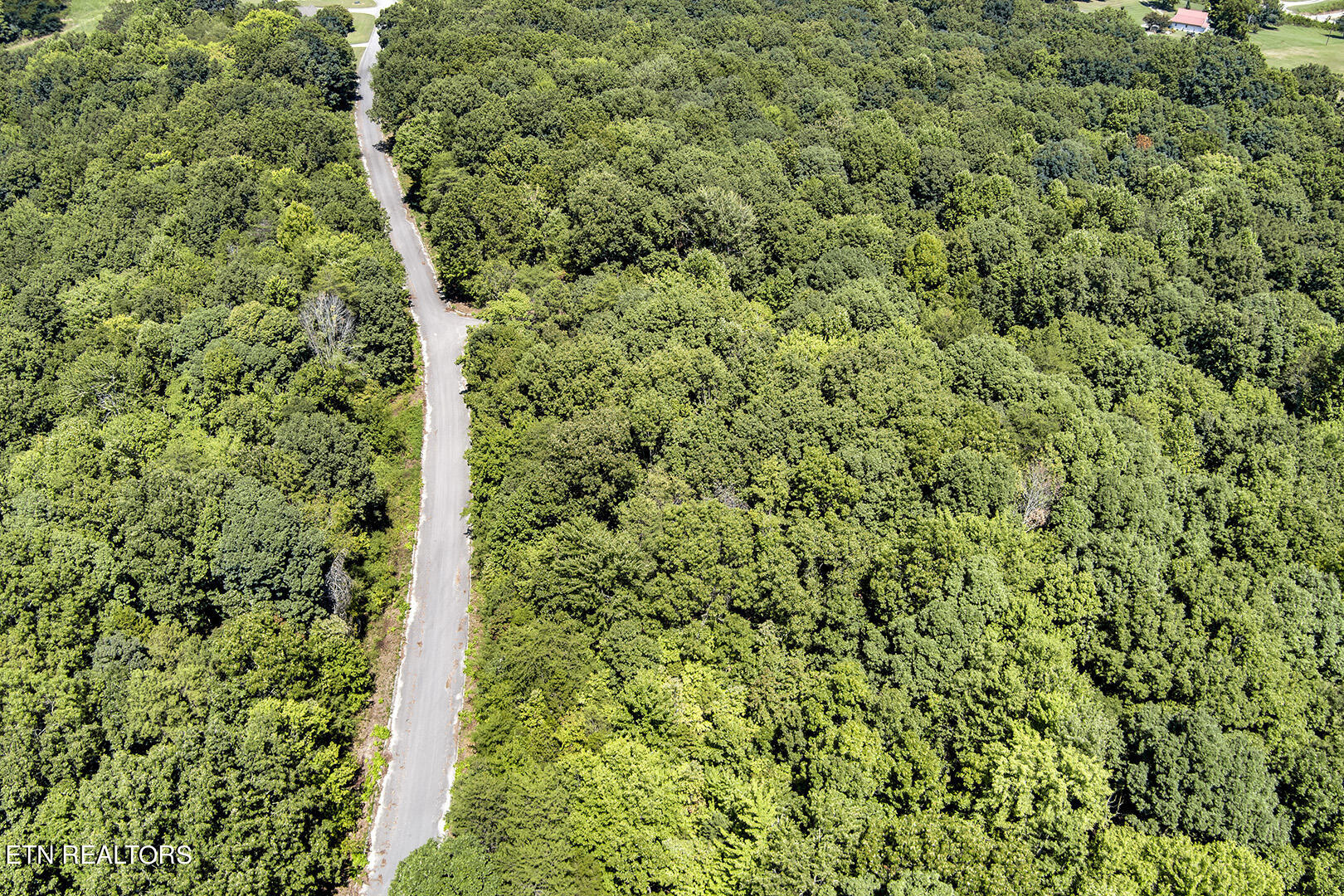 Lot 169 County Road 316 Property Photo 5