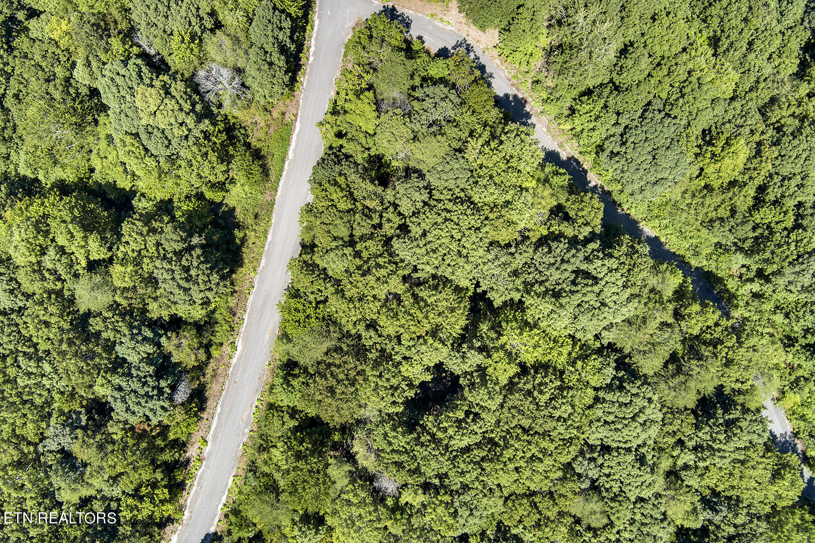Lot 169 County Road 316 Property Photo 6