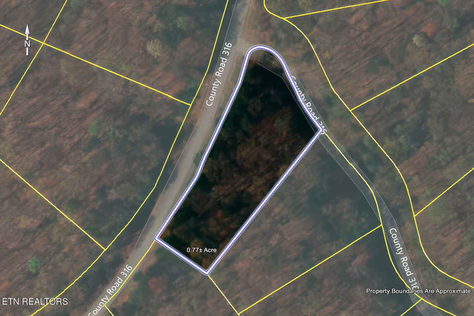 Lot 169 County Road 316 Property Photo 7