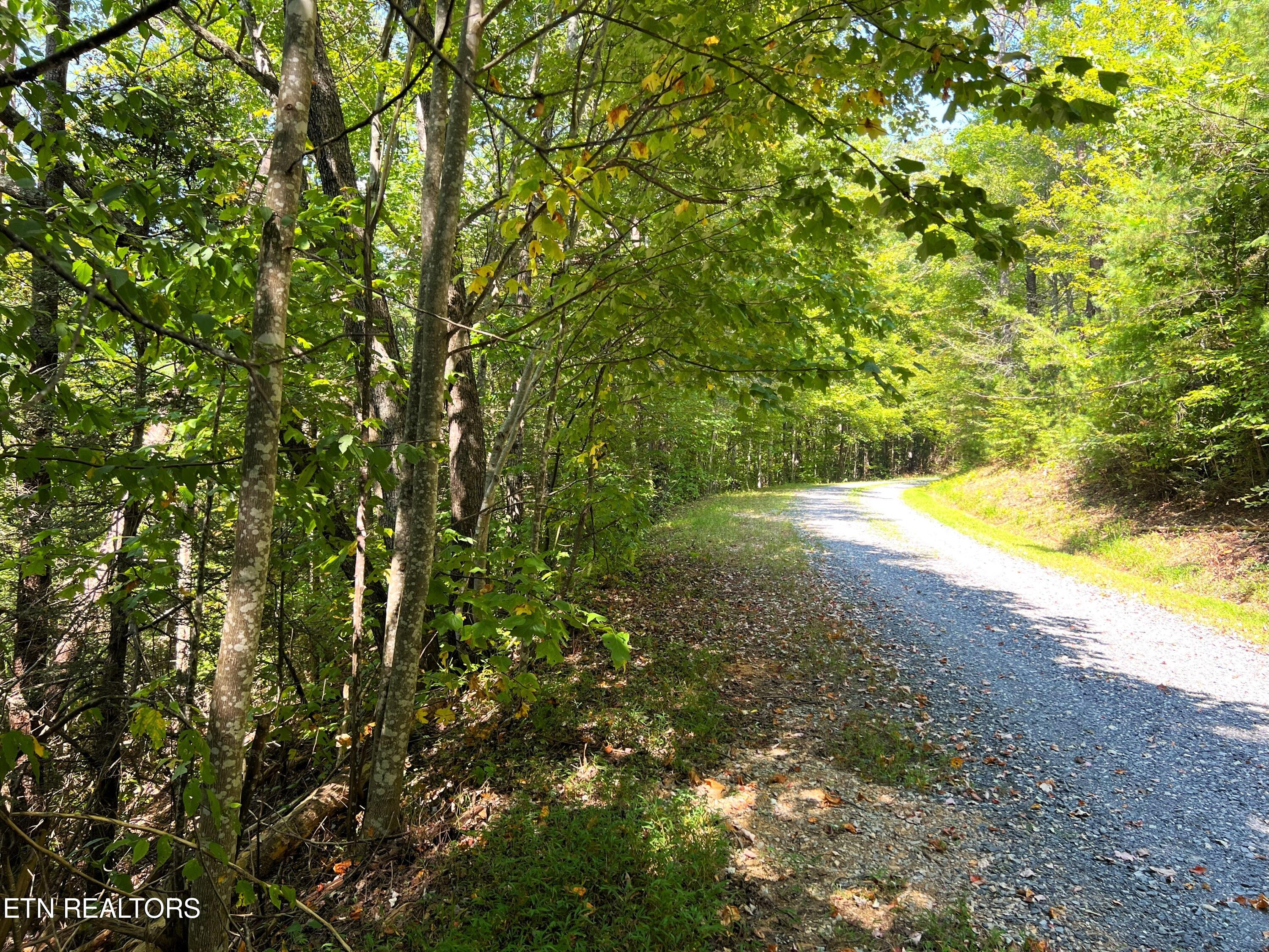 Tract 8 Faith Mtn Way Property Photo