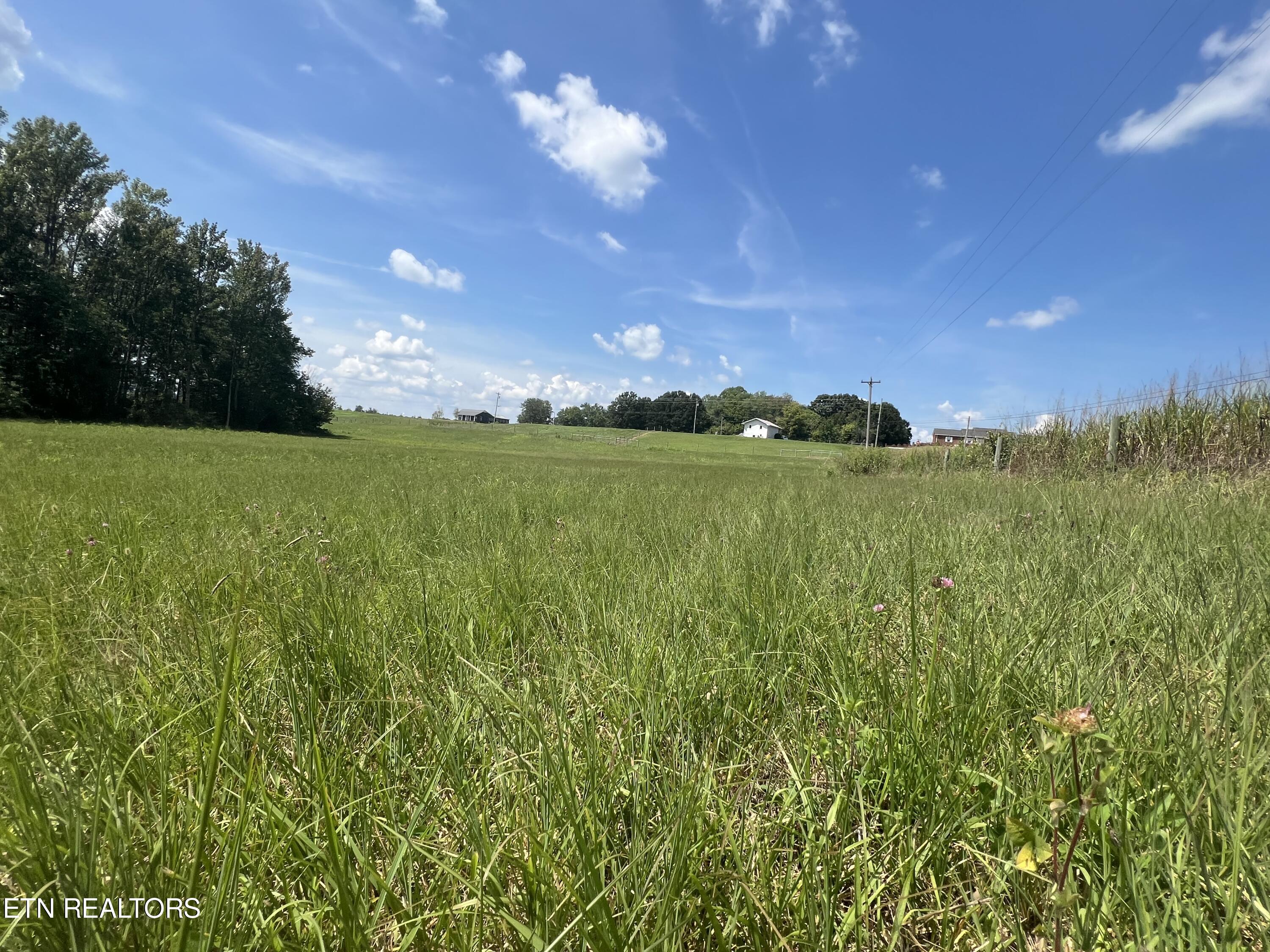 10.02 Ac. Gum Springs Mountain Rd Property Photo
