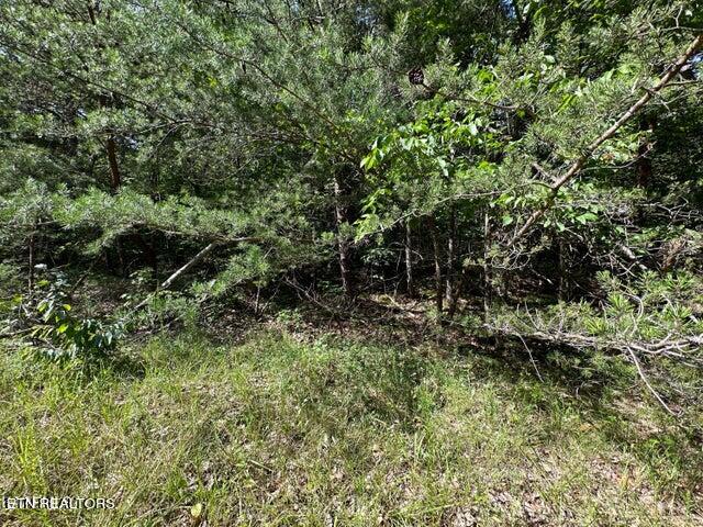 Flats Rd Property Photo