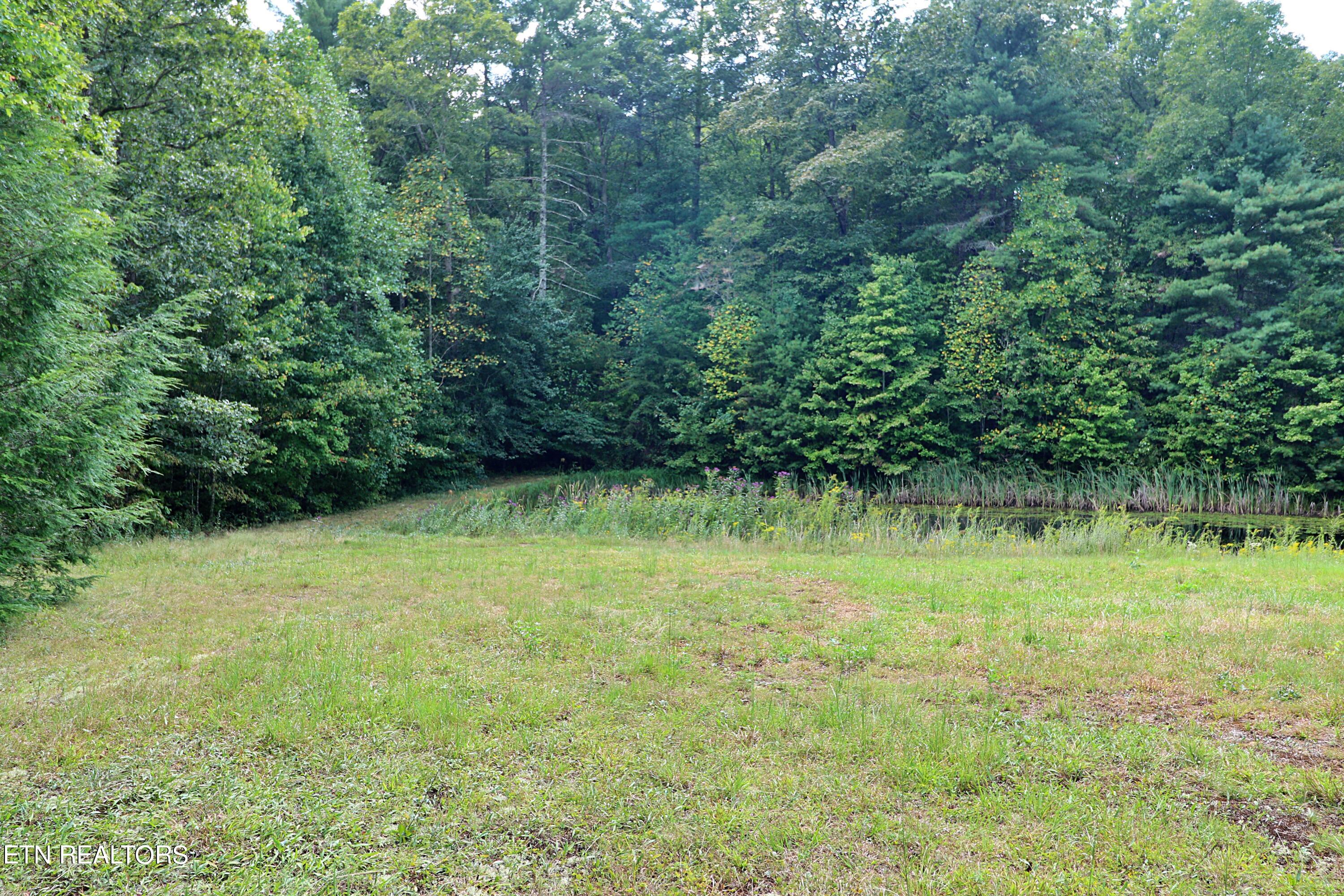 525 Bear Hollow Rd Property Photo 44
