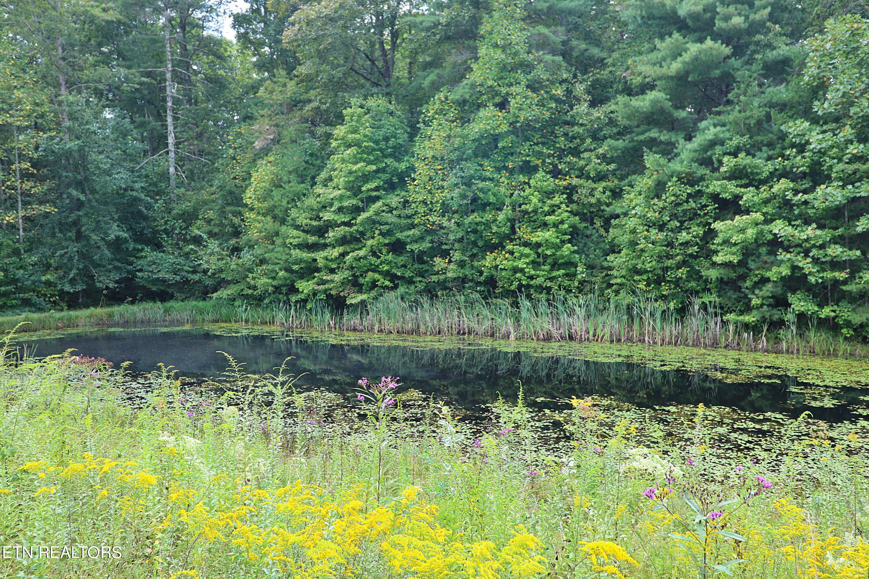525 Bear Hollow Rd Property Photo 45