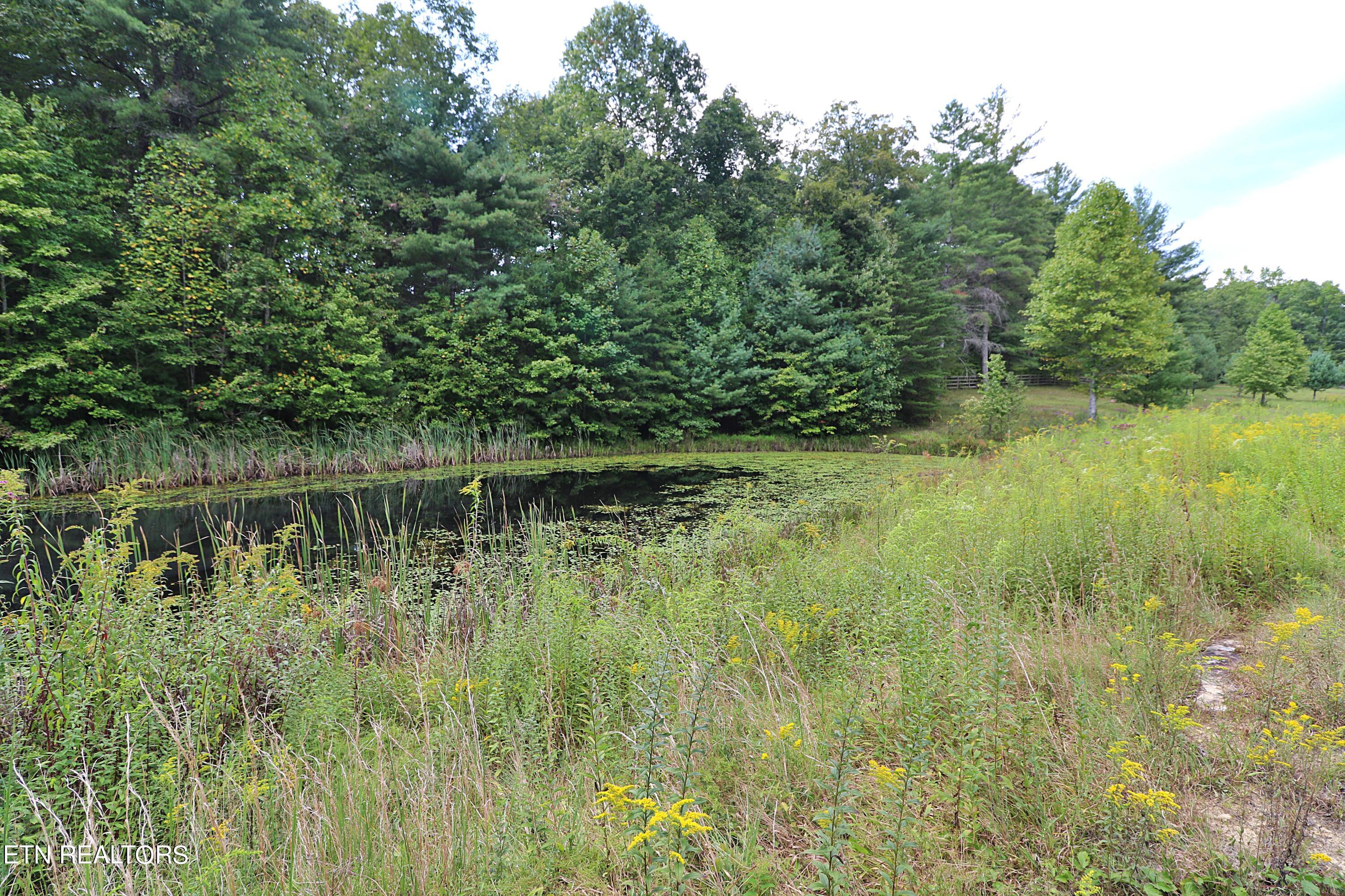 525 Bear Hollow Rd Property Photo 46