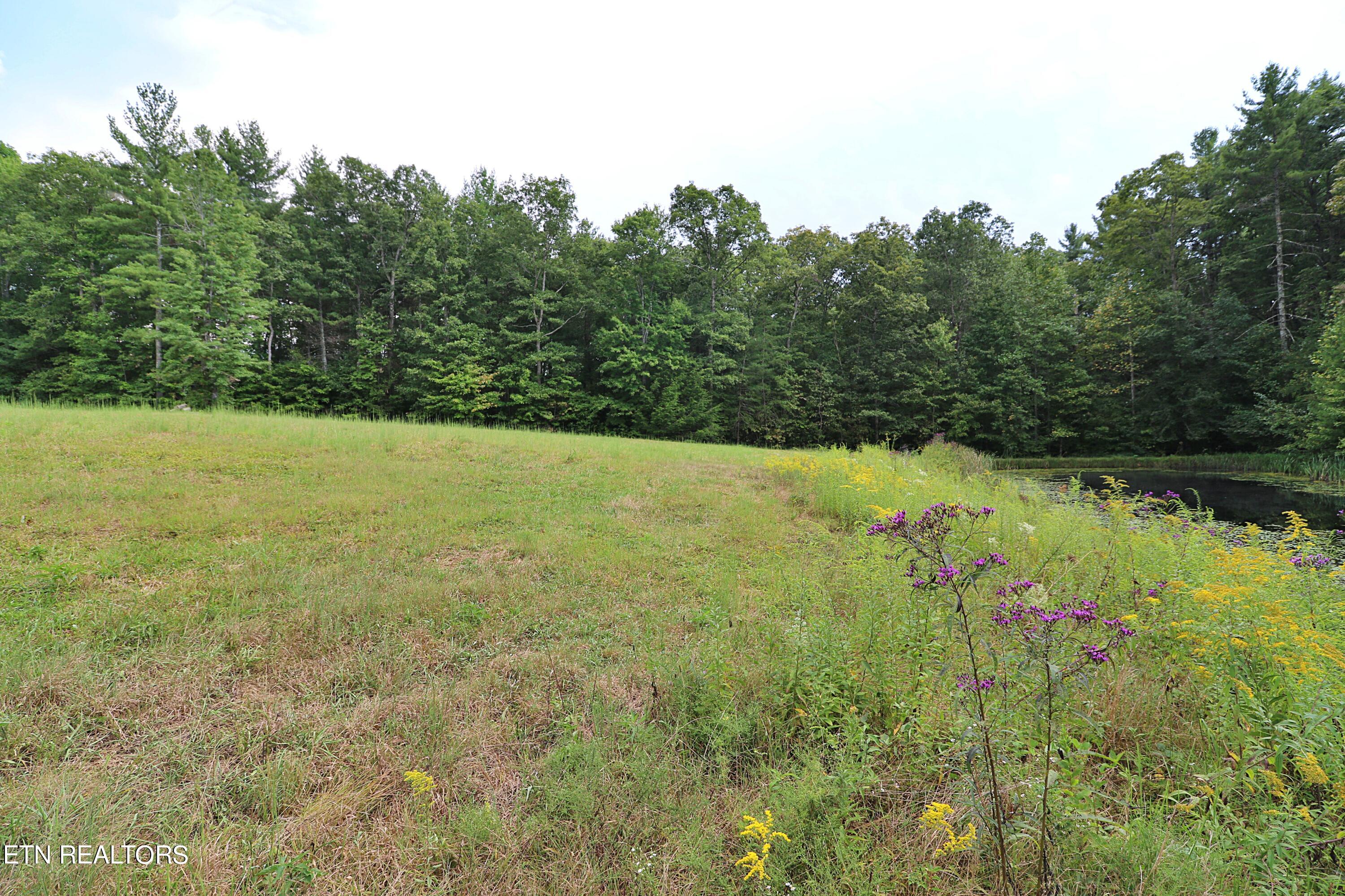 525 Bear Hollow Rd Property Photo 47