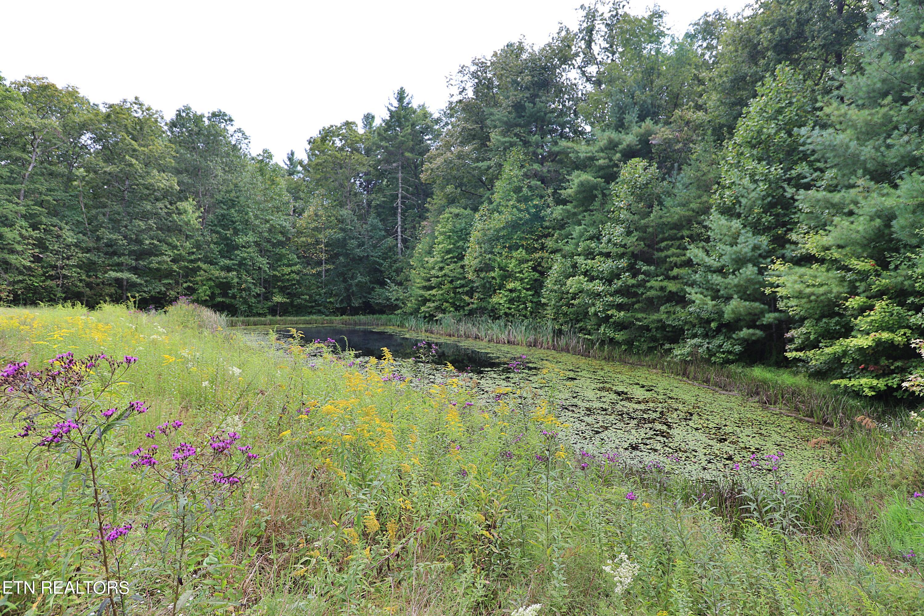 525 Bear Hollow Rd Property Photo 48
