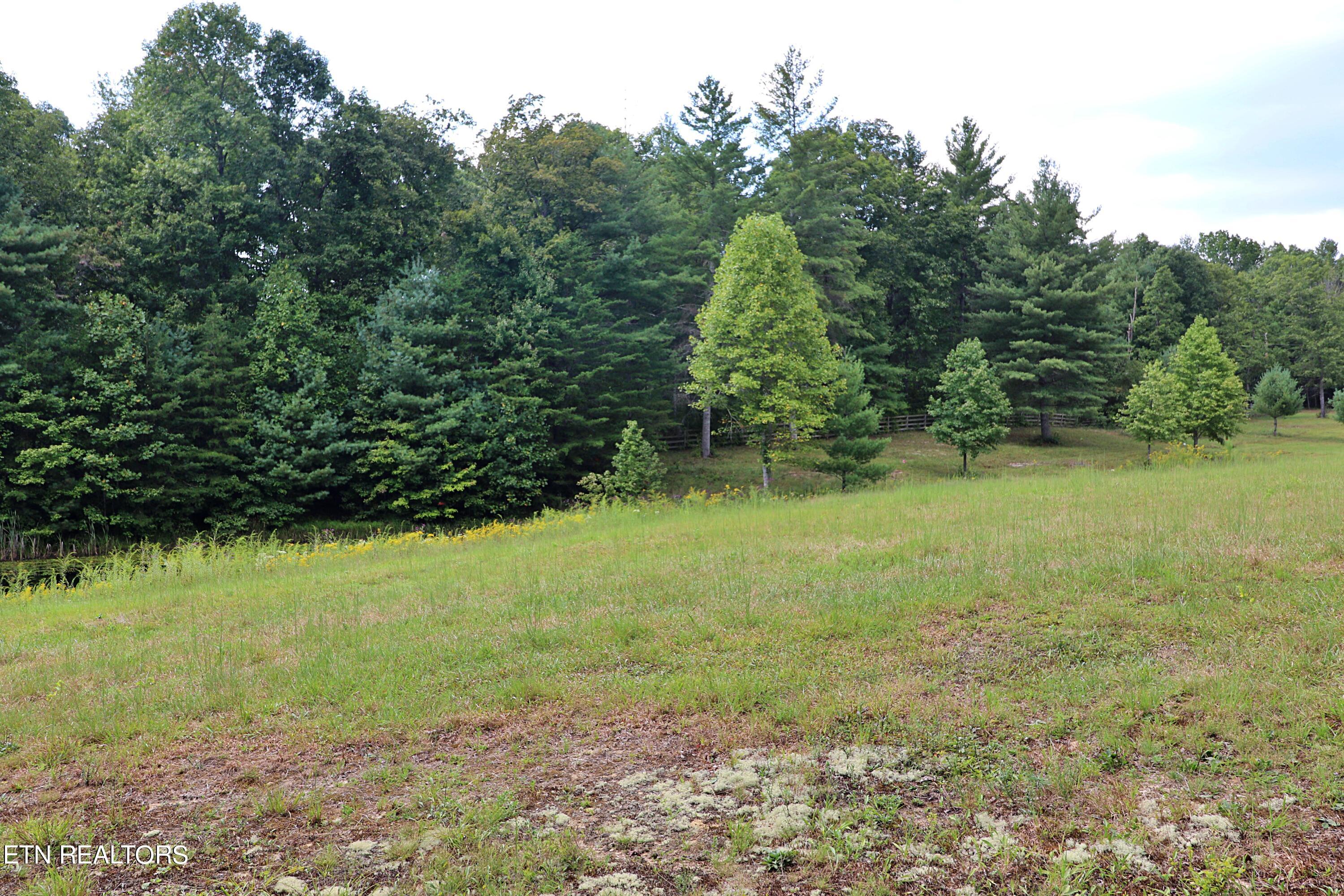 525 Bear Hollow Rd Property Photo 51