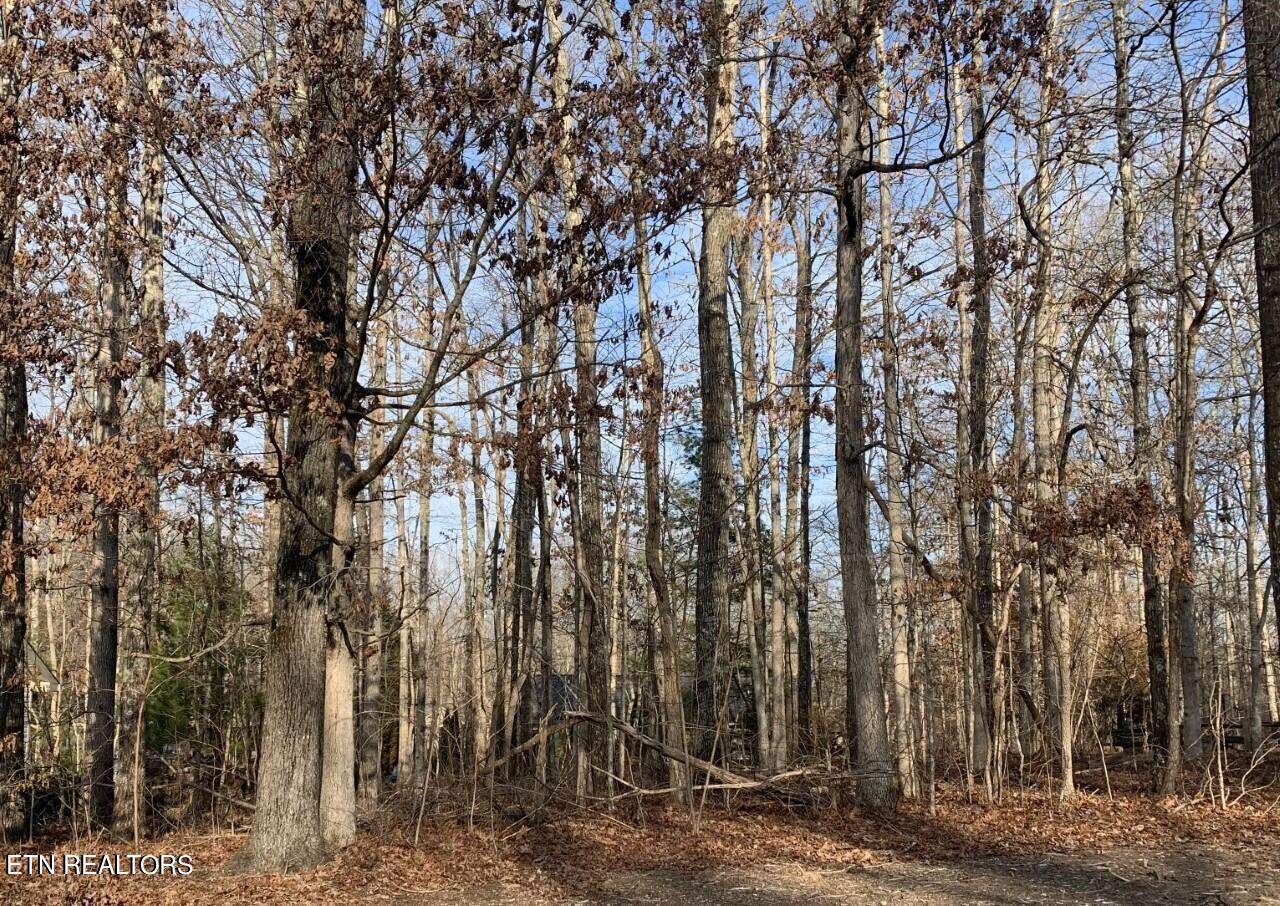 119 Glenwood Drive Property Photo