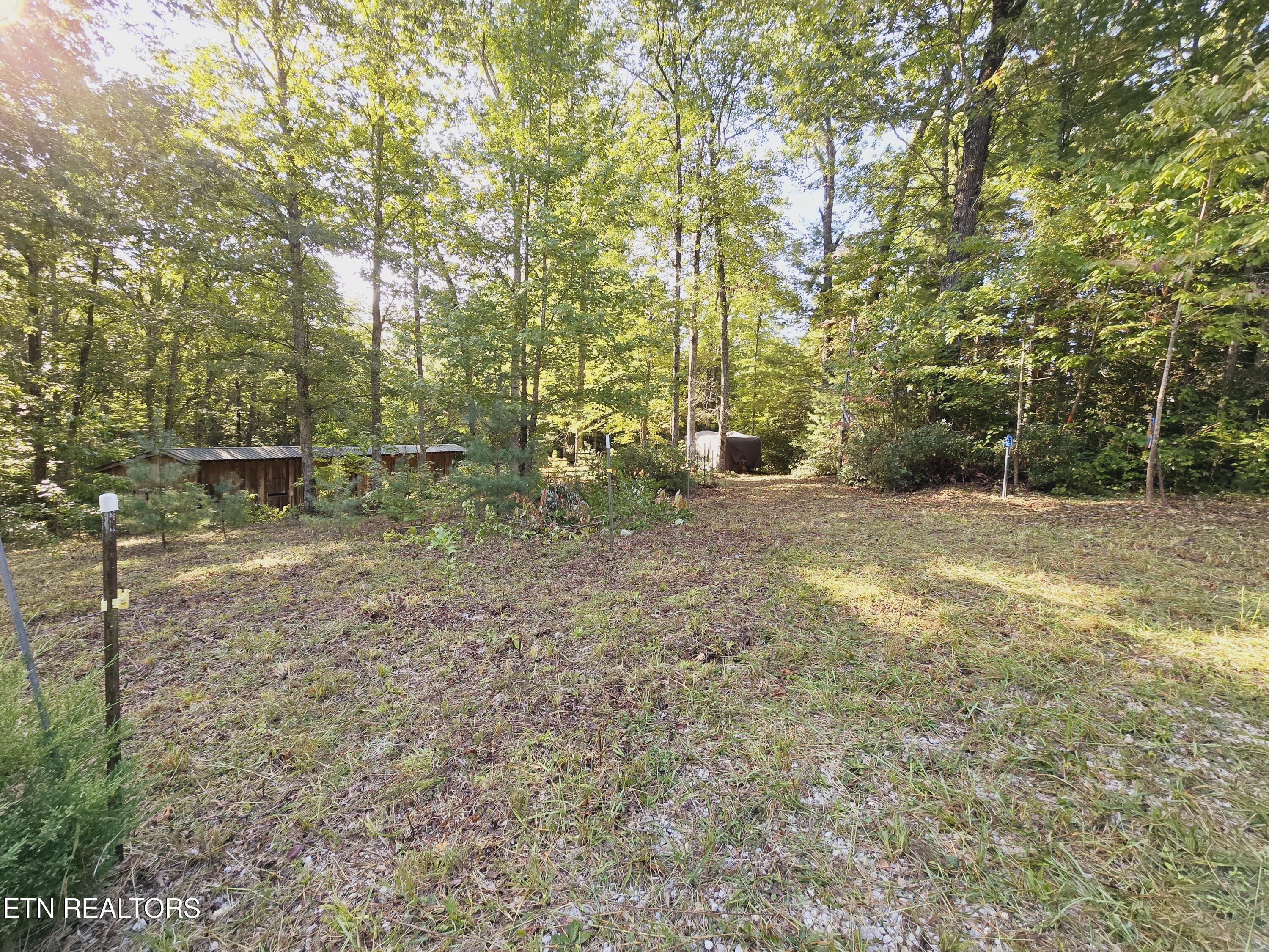 Bear Hollow Trl. Rd Property Photo 1