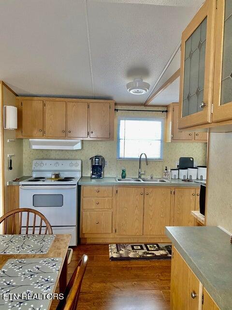 528 Yoakum Lane Property Photo 4