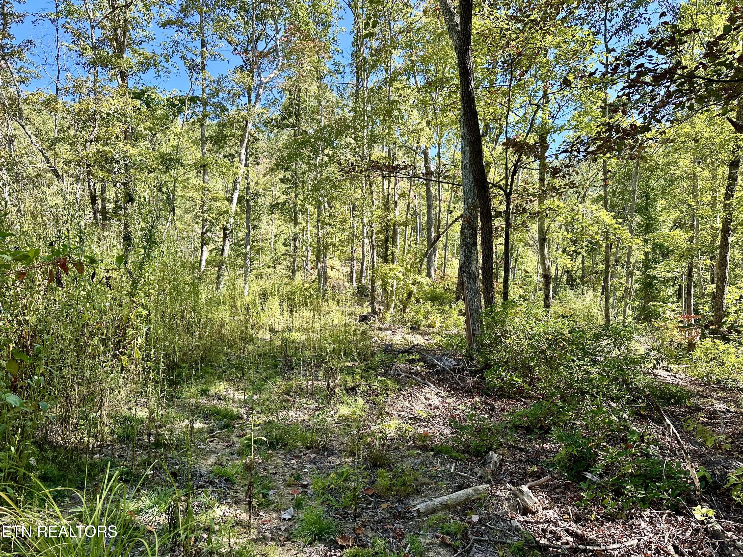 176 Pearly Ward Lane Property Photo 14
