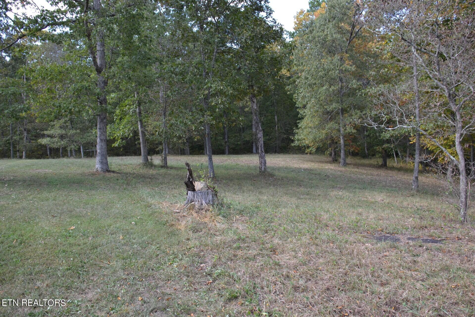 238 Tate Rd Property Photo 46
