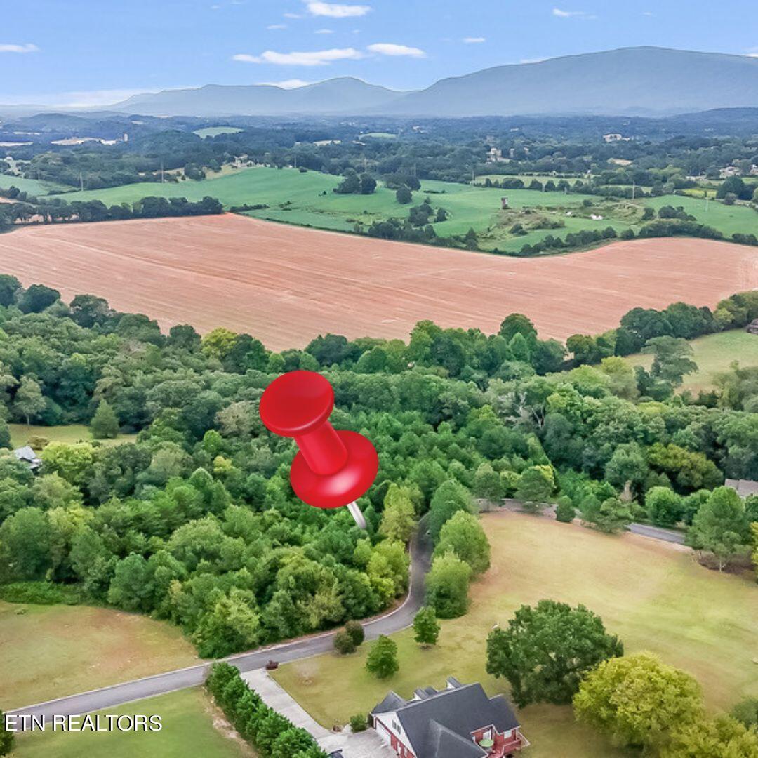 Ocoee River Landing Drive Property Photo 1