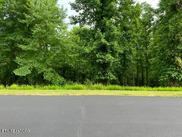 371 Walking Horse Tr Property Photo
