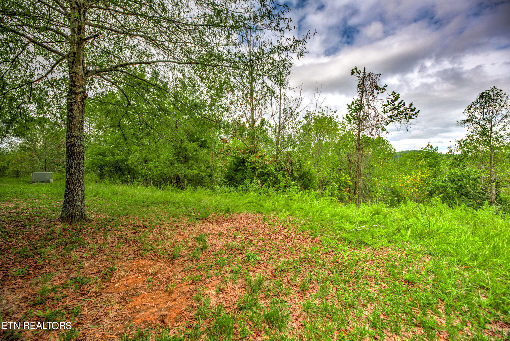 152 Pineberry Rd Property Photo