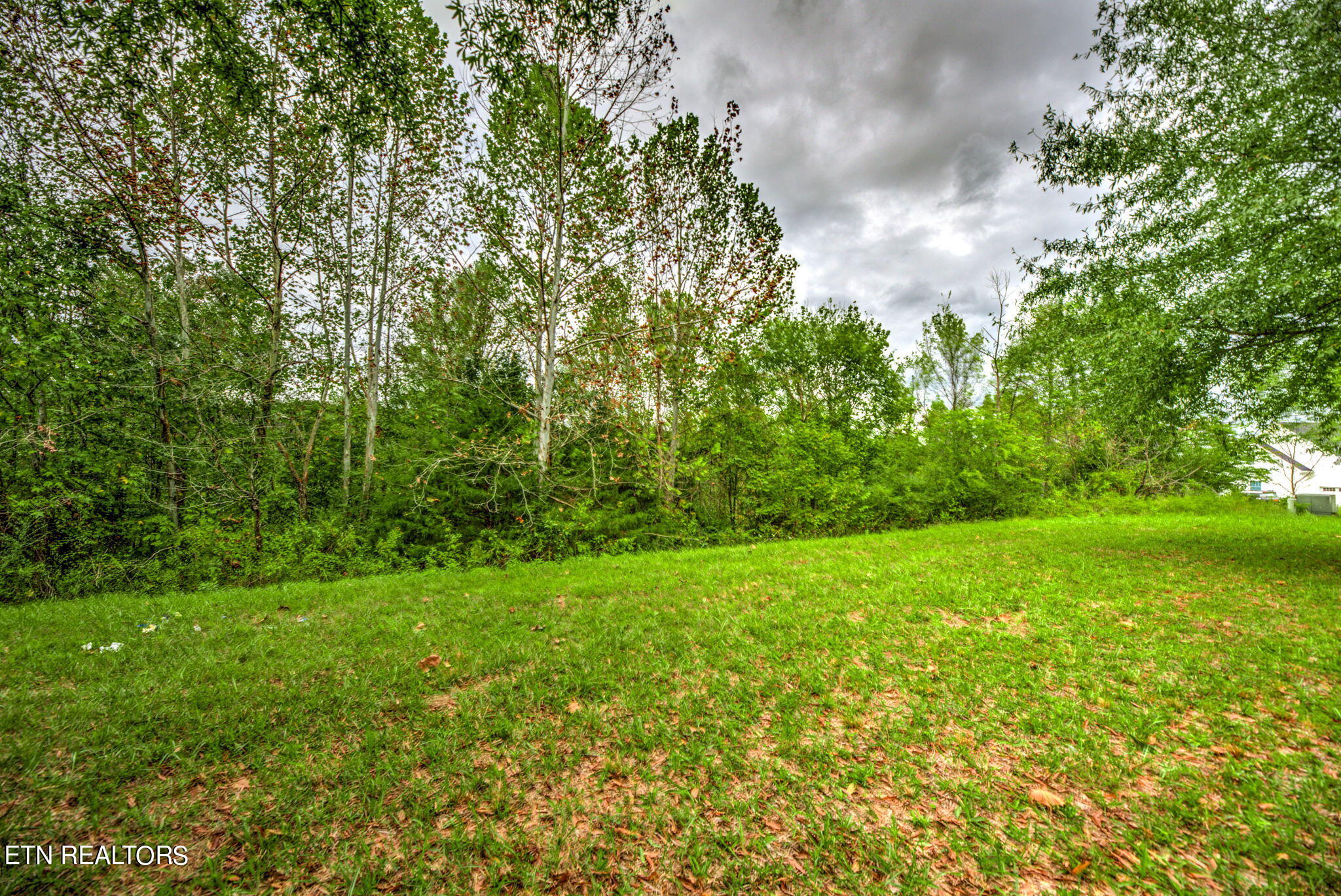 154 Pineberry Rd Property Photo