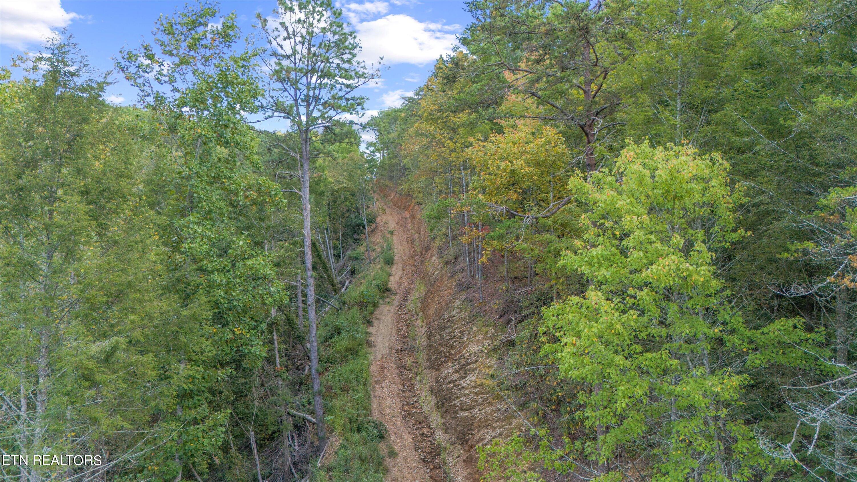 1876 Upper Middle Creek Rd Property Photo 4
