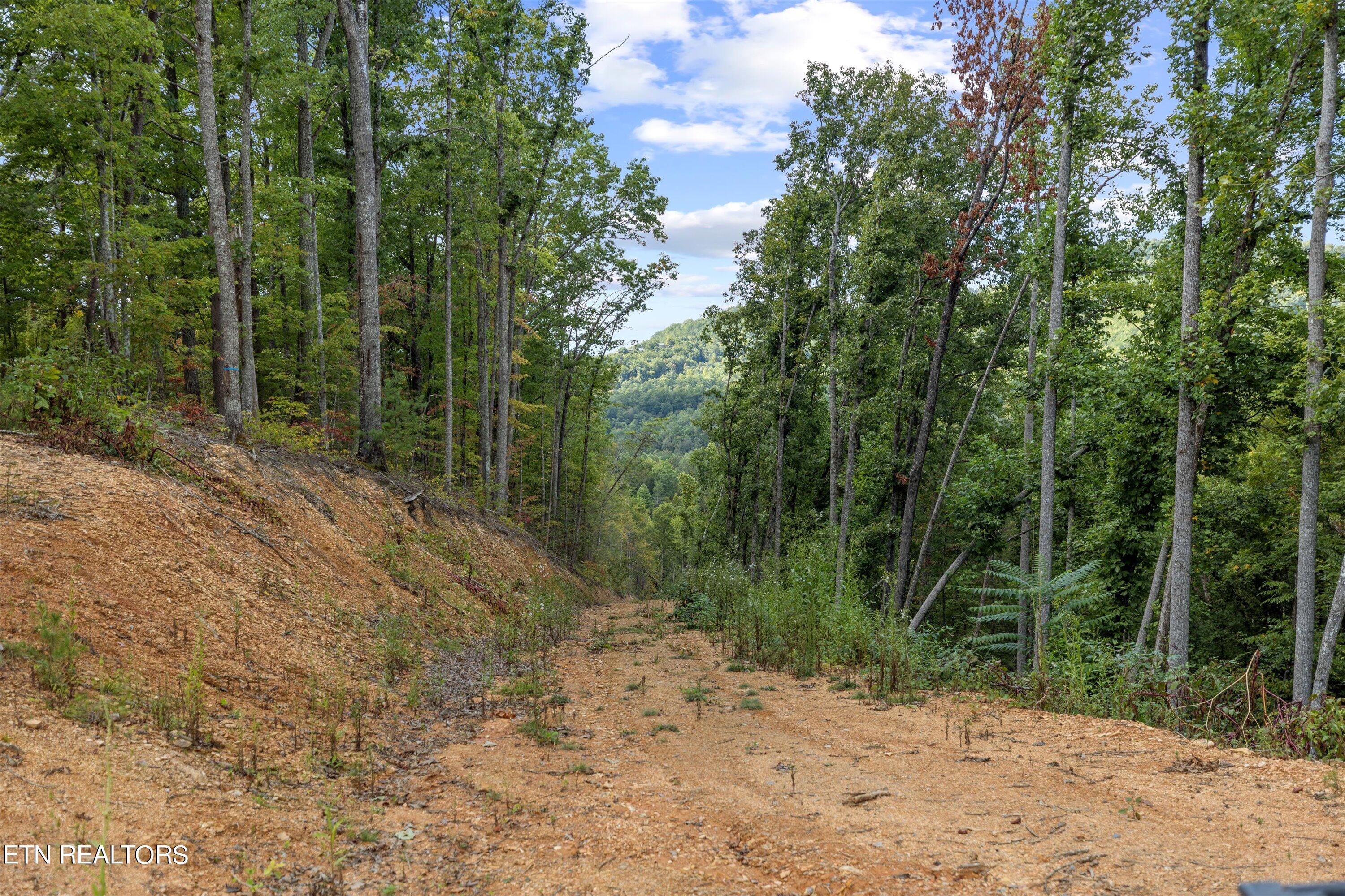 1876 Upper Middle Creek Rd Property Photo 8