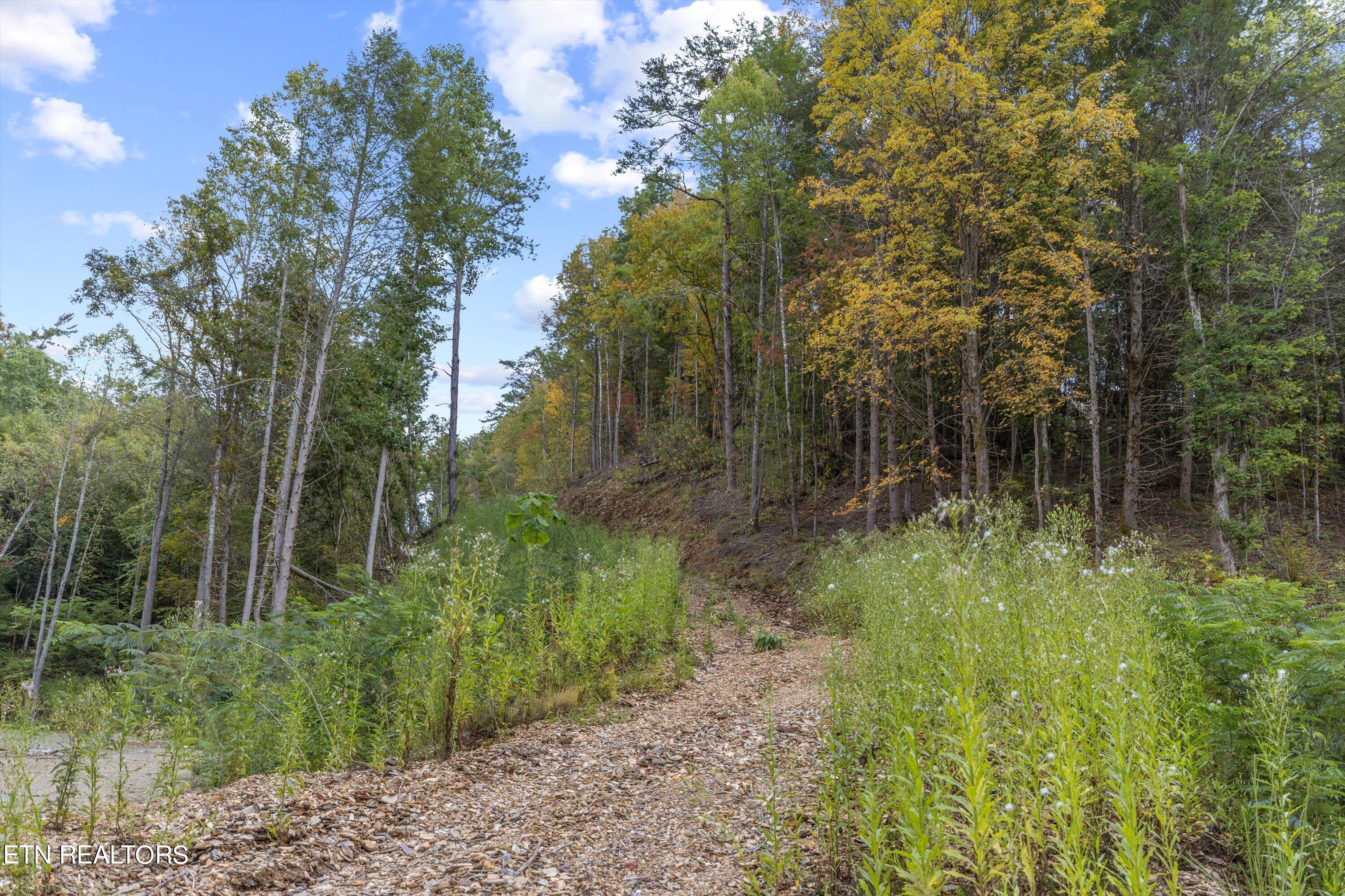 1876 Upper Middle Creek Rd Property Photo 10