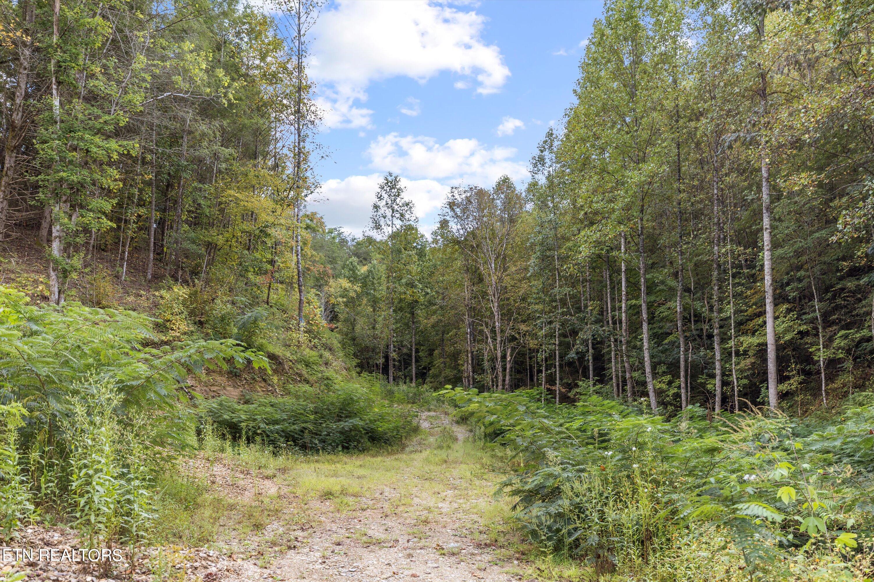 1876 Upper Middle Creek Rd Property Photo 11