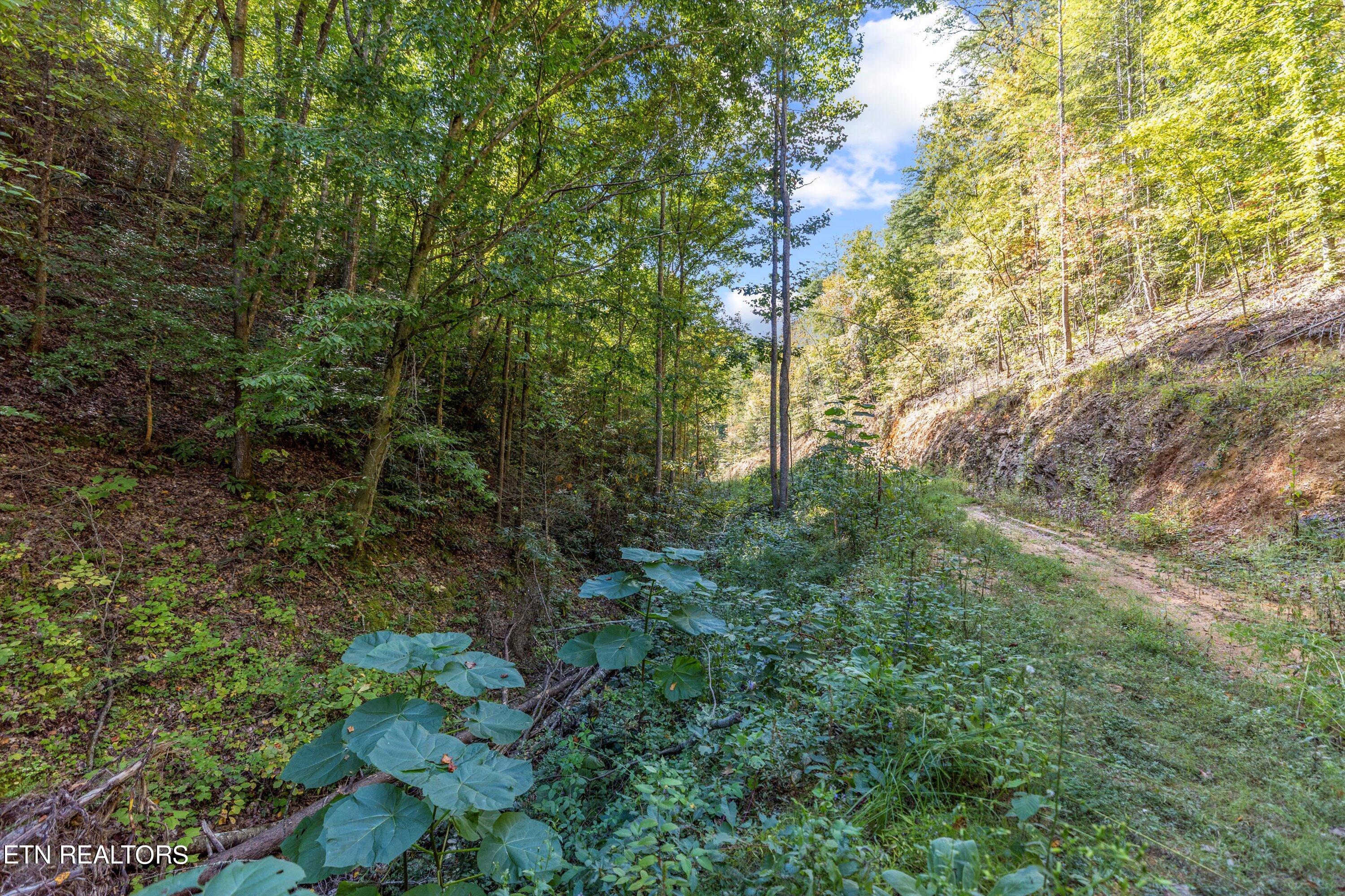 1876 Upper Middle Creek Rd Property Photo 12