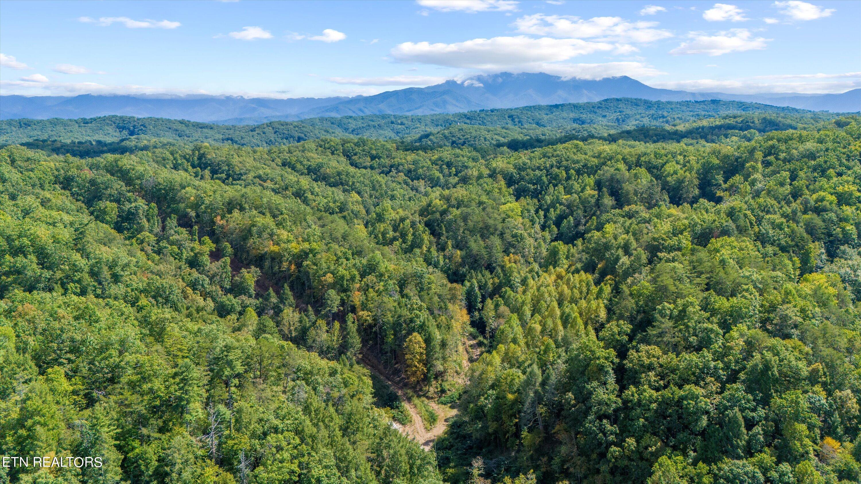 1876 Upper Middle Creek Rd Property Photo 15