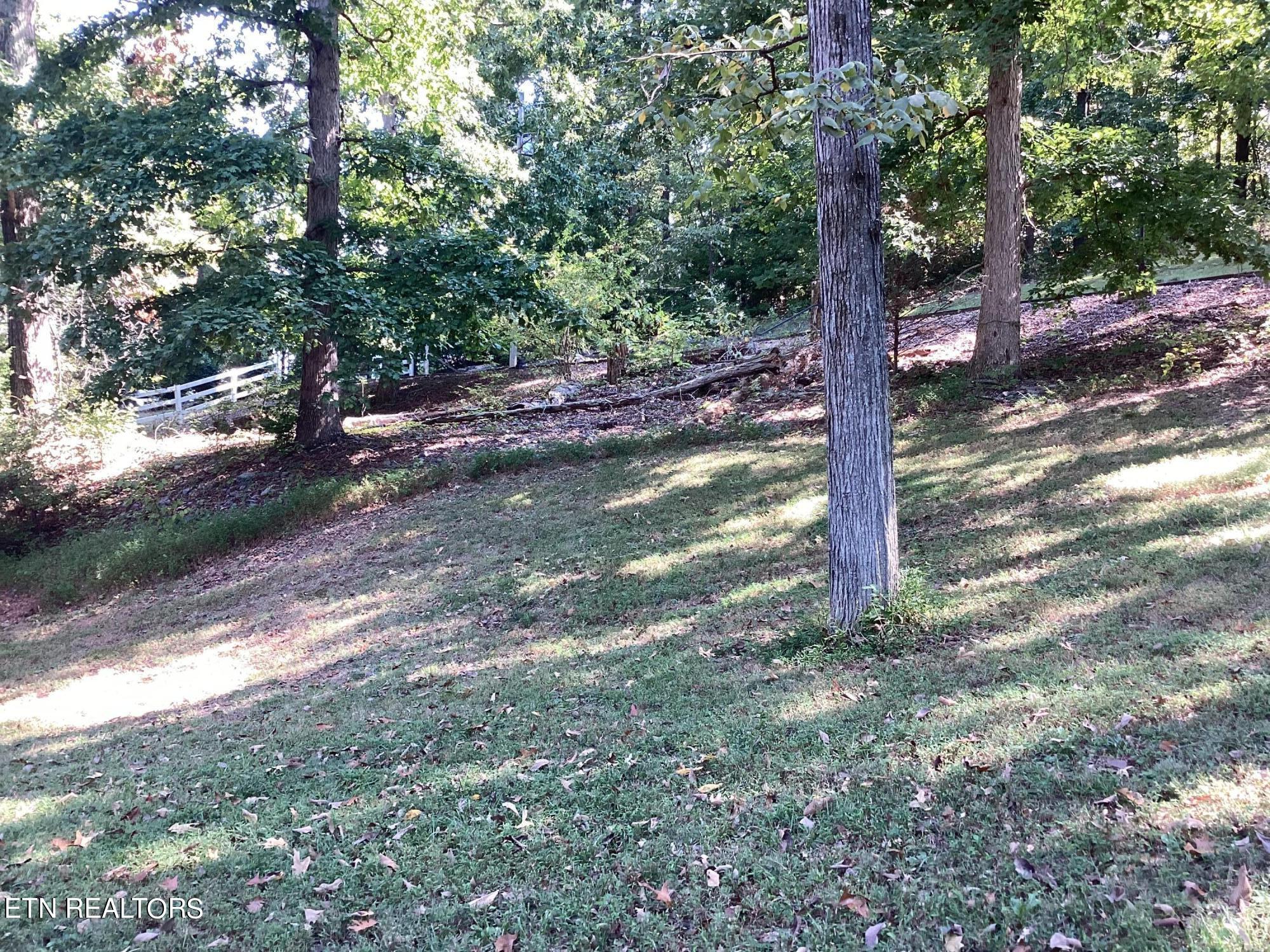 1408 Warrensburg Rd Property Photo 49
