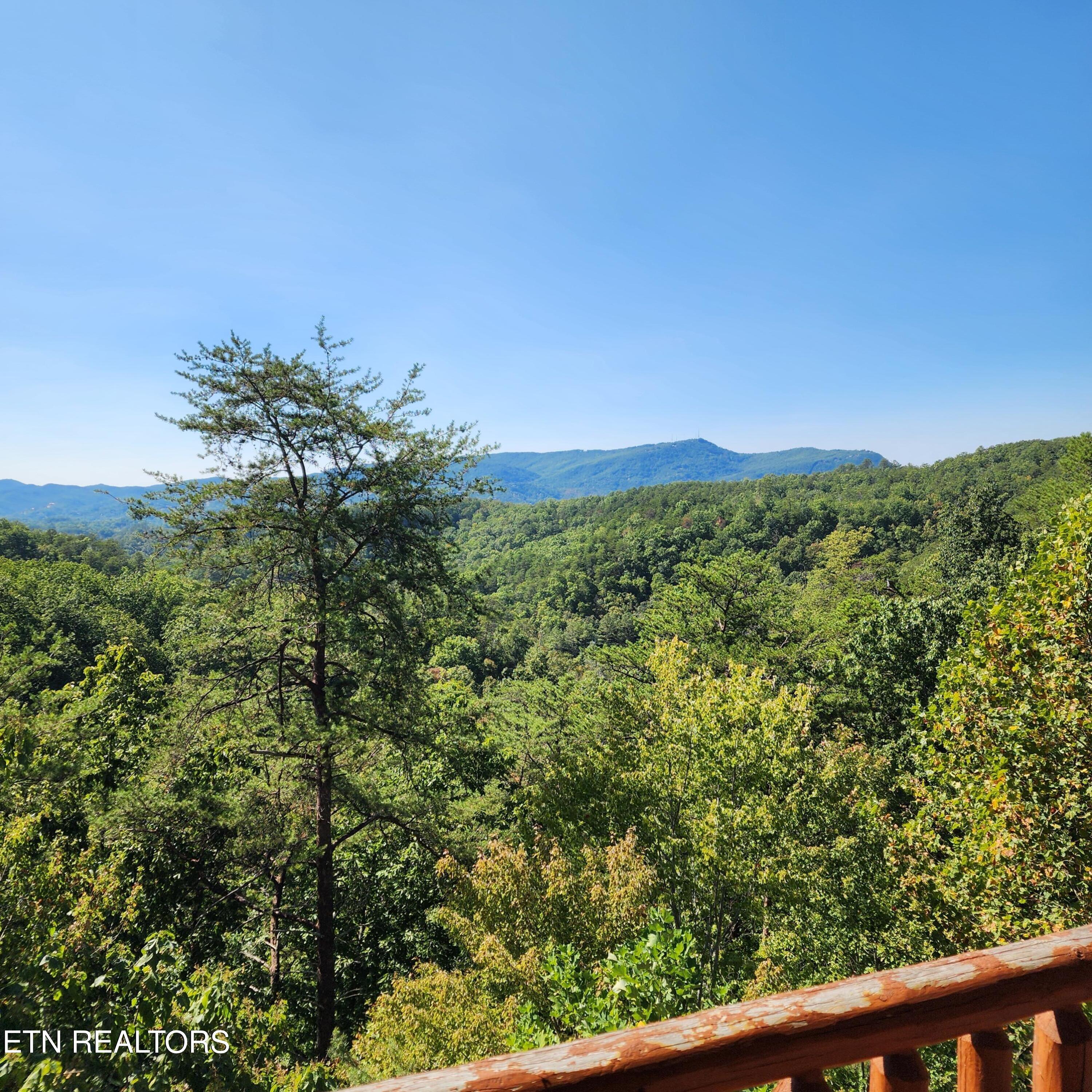 912 Black Bear Cub Way Property Photo 15