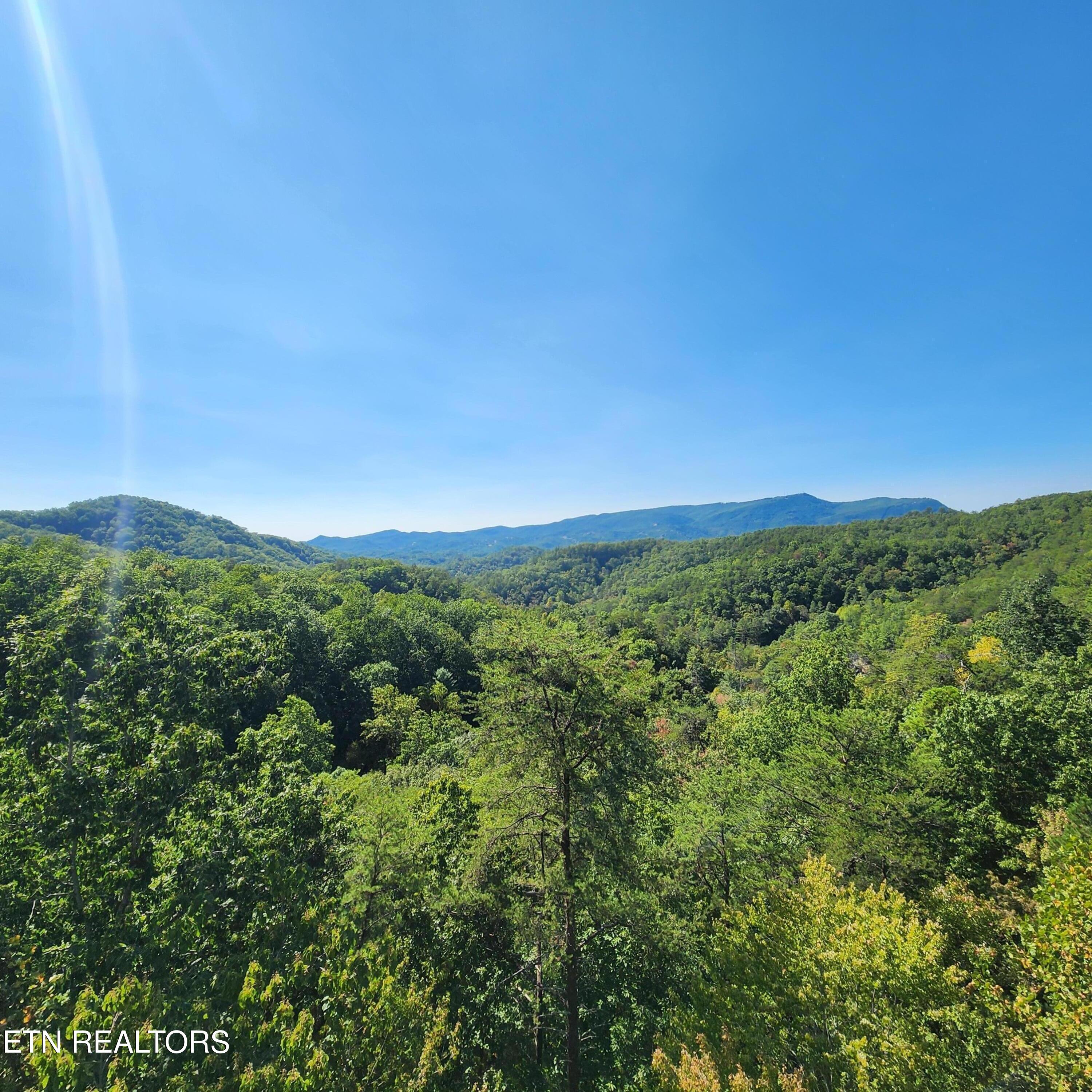 912 Black Bear Cub Way Property Photo 29