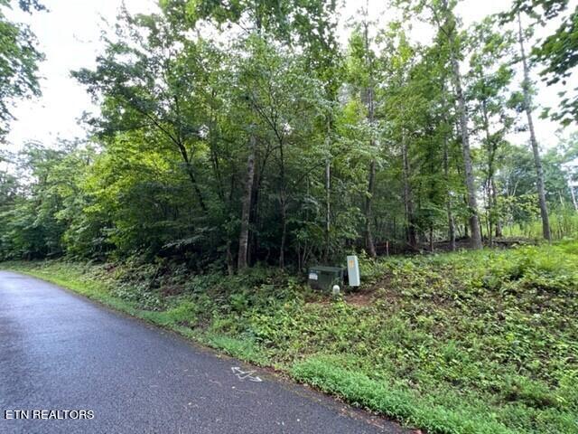 Lot 20 Hazelwood Court Property Photo