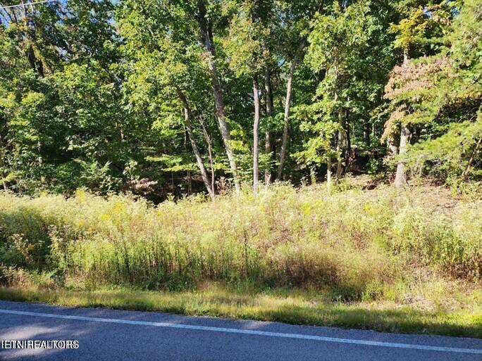 319 Snead Drive Property Photo 2