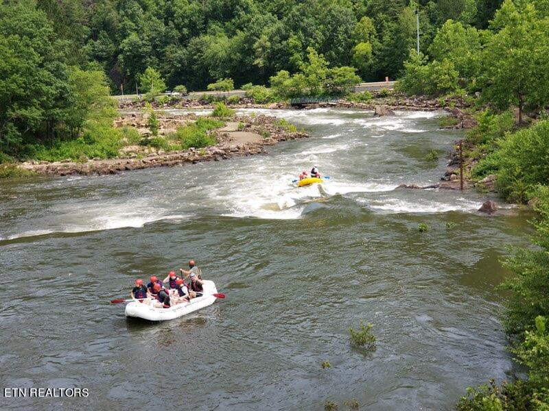 884 Ducks Nest Rd Property Photo 16